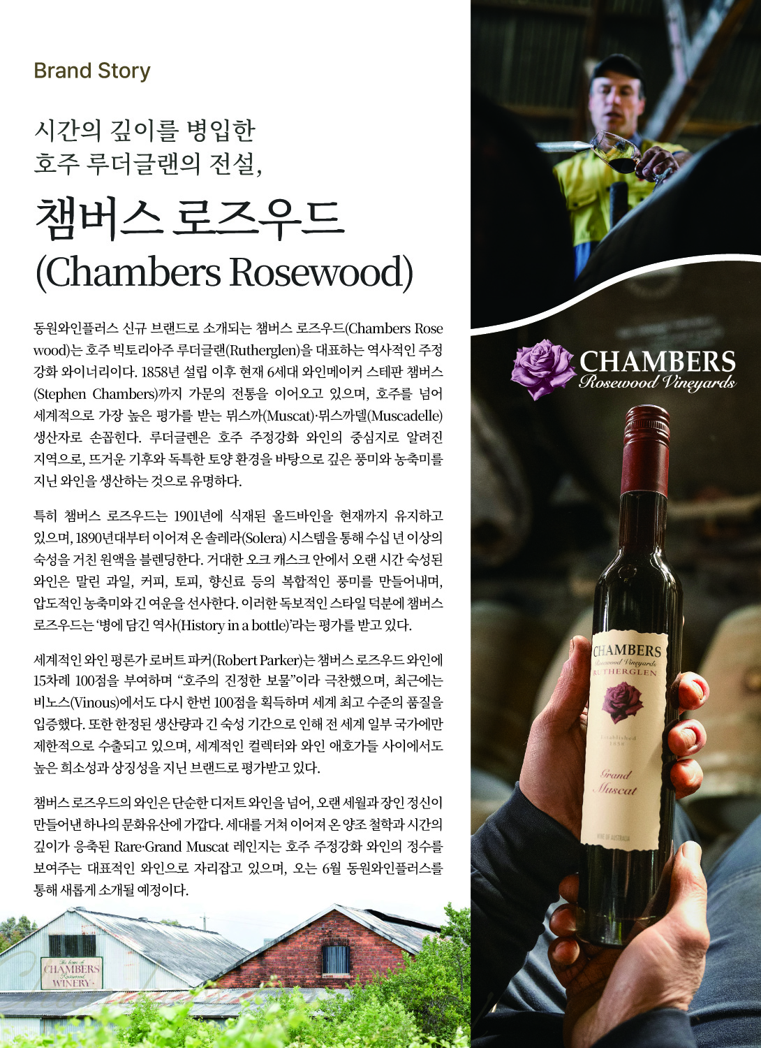 2026.6월 동원와인타임즈 3페이지