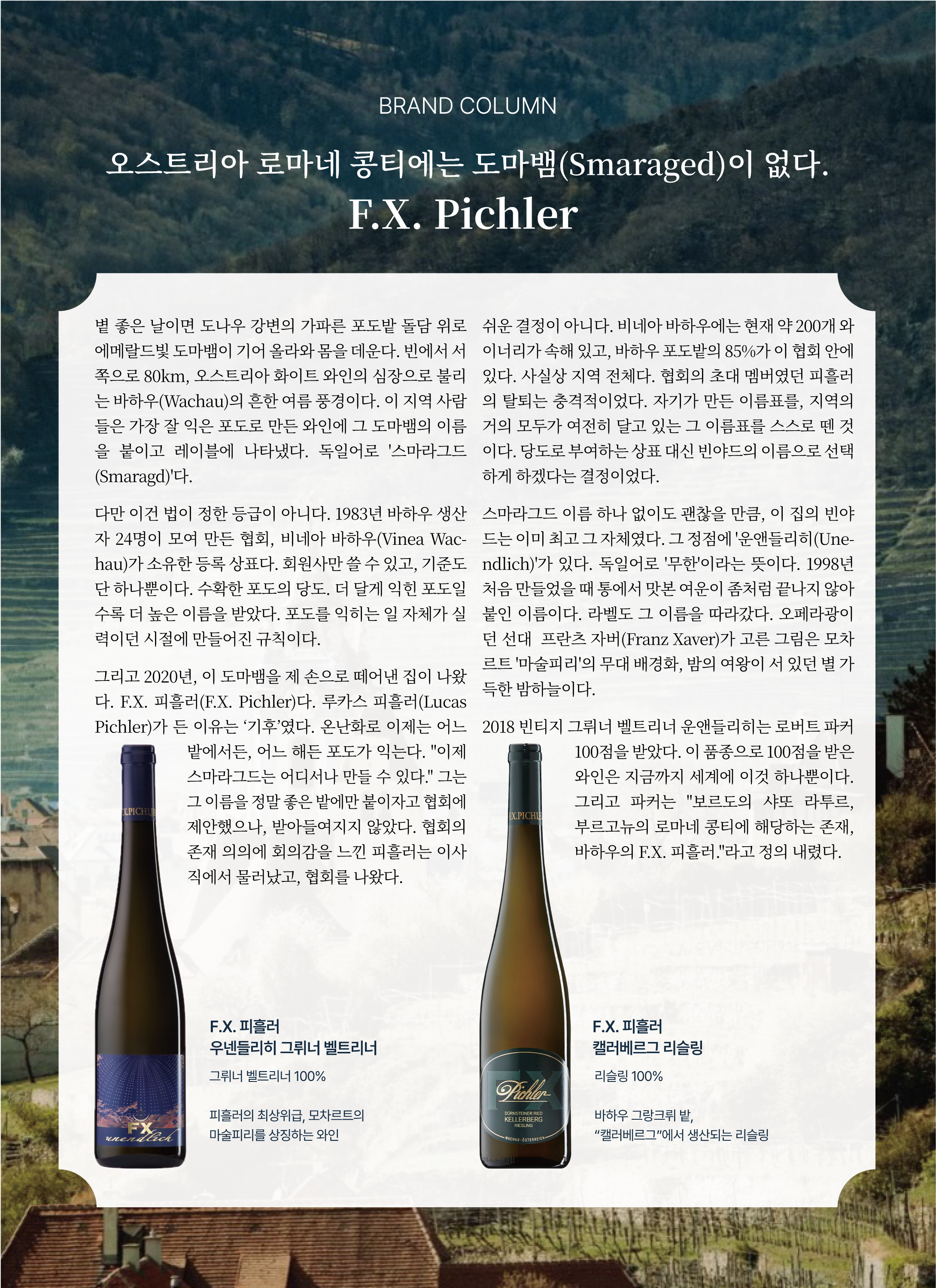 동원 와인타임즈 Vol.53 6페이지