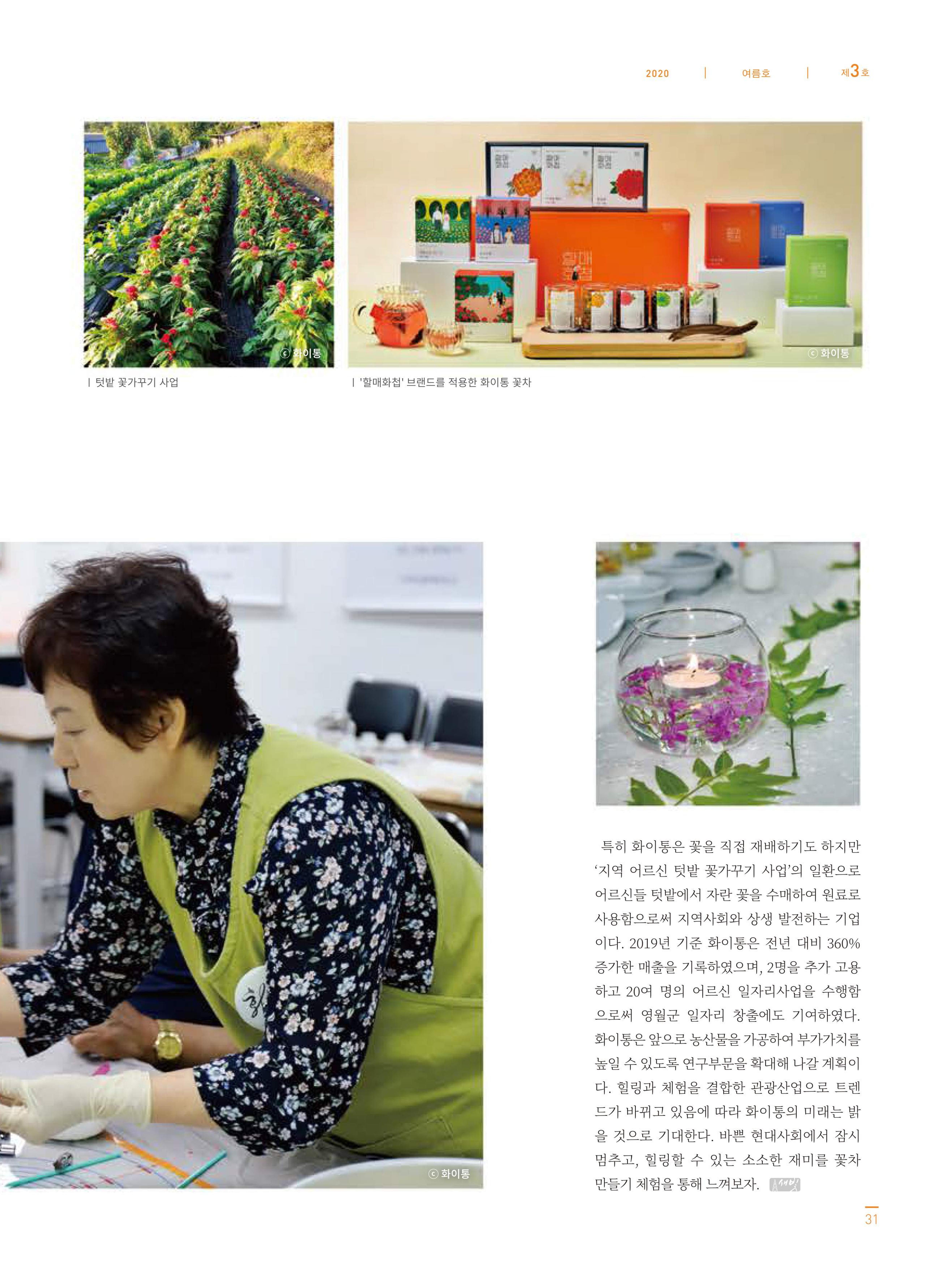 탄광지역발전을 위한 소식지 새빛마루 3호 31페이지