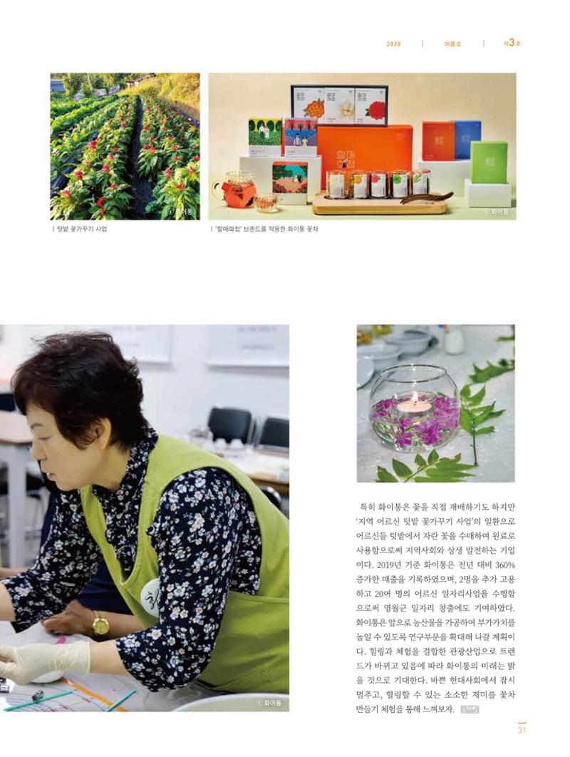 탄광지역발전을 위한 소식지 새빛마루 3호 31페이지
