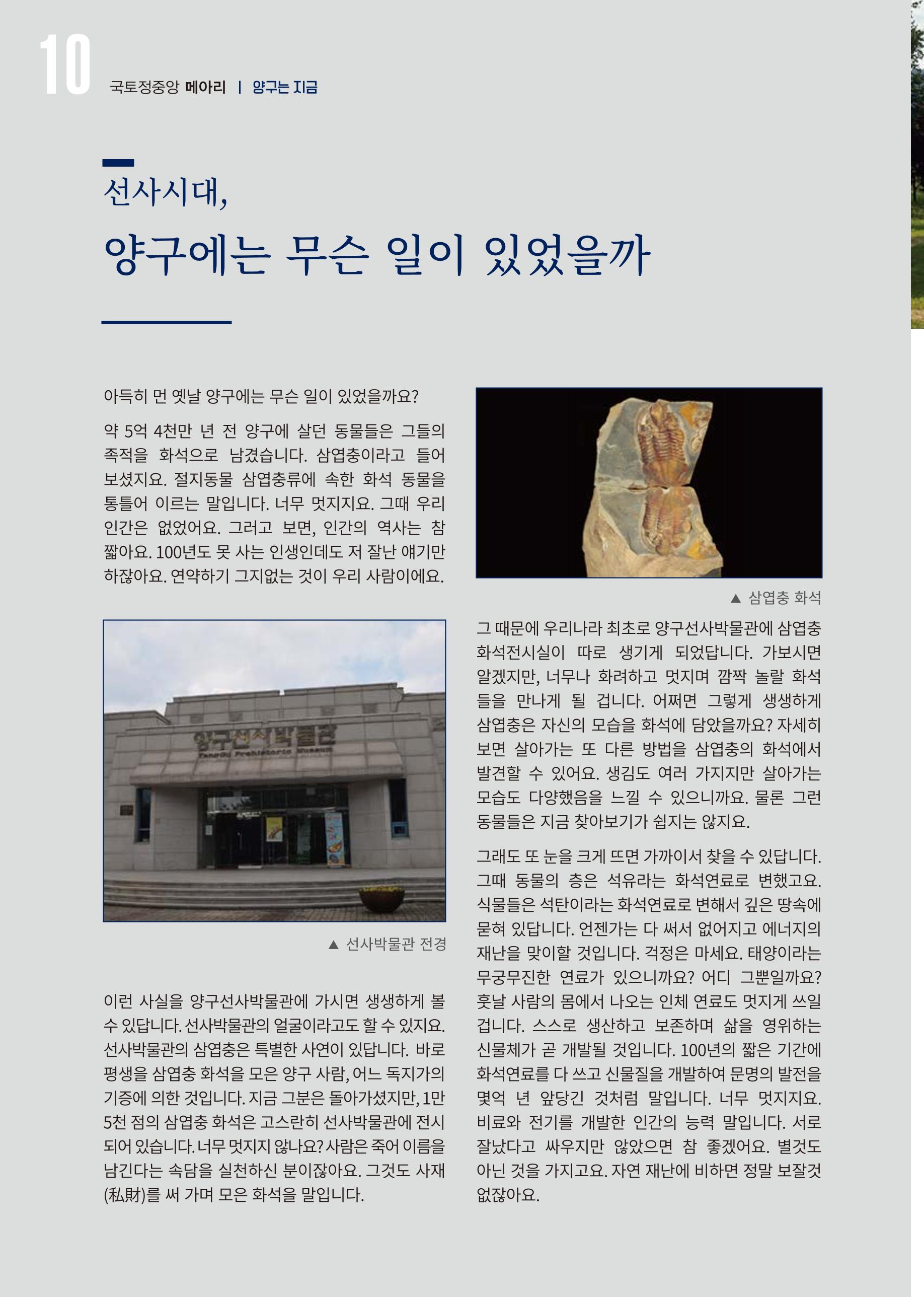 국토정중앙 메아리 2020년 6월호 10페이지