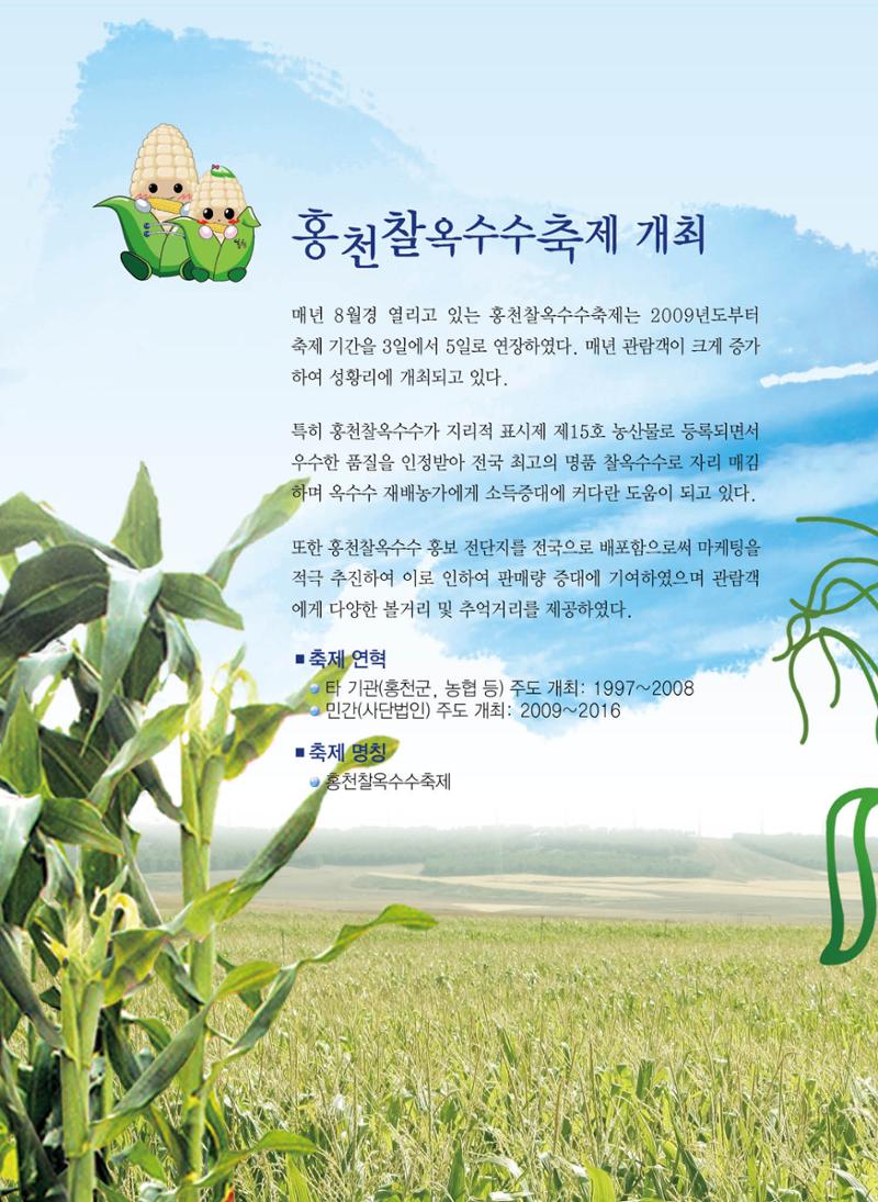 홍천 축제 발자취 106페이지