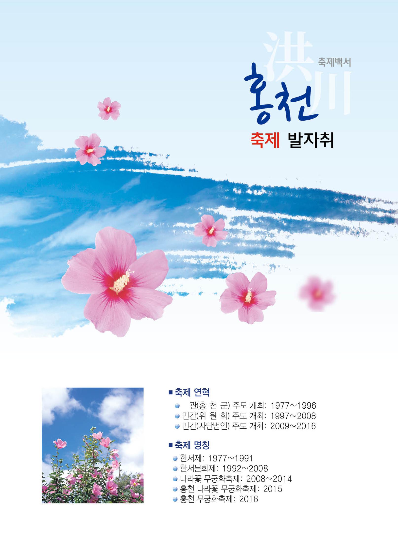 홍천 축제 발자취 11페이지