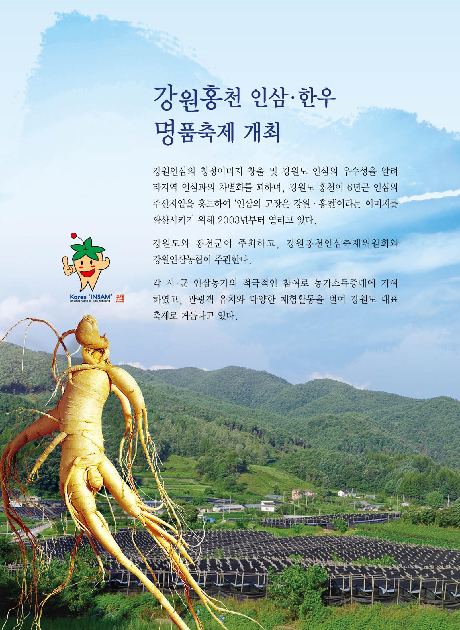 홍천 축제 발자취 136페이지