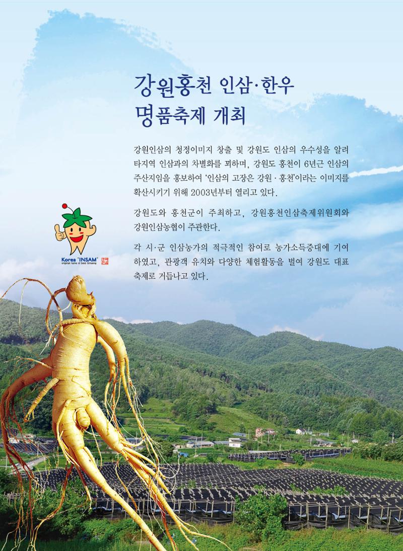 홍천 축제 발자취 136페이지
