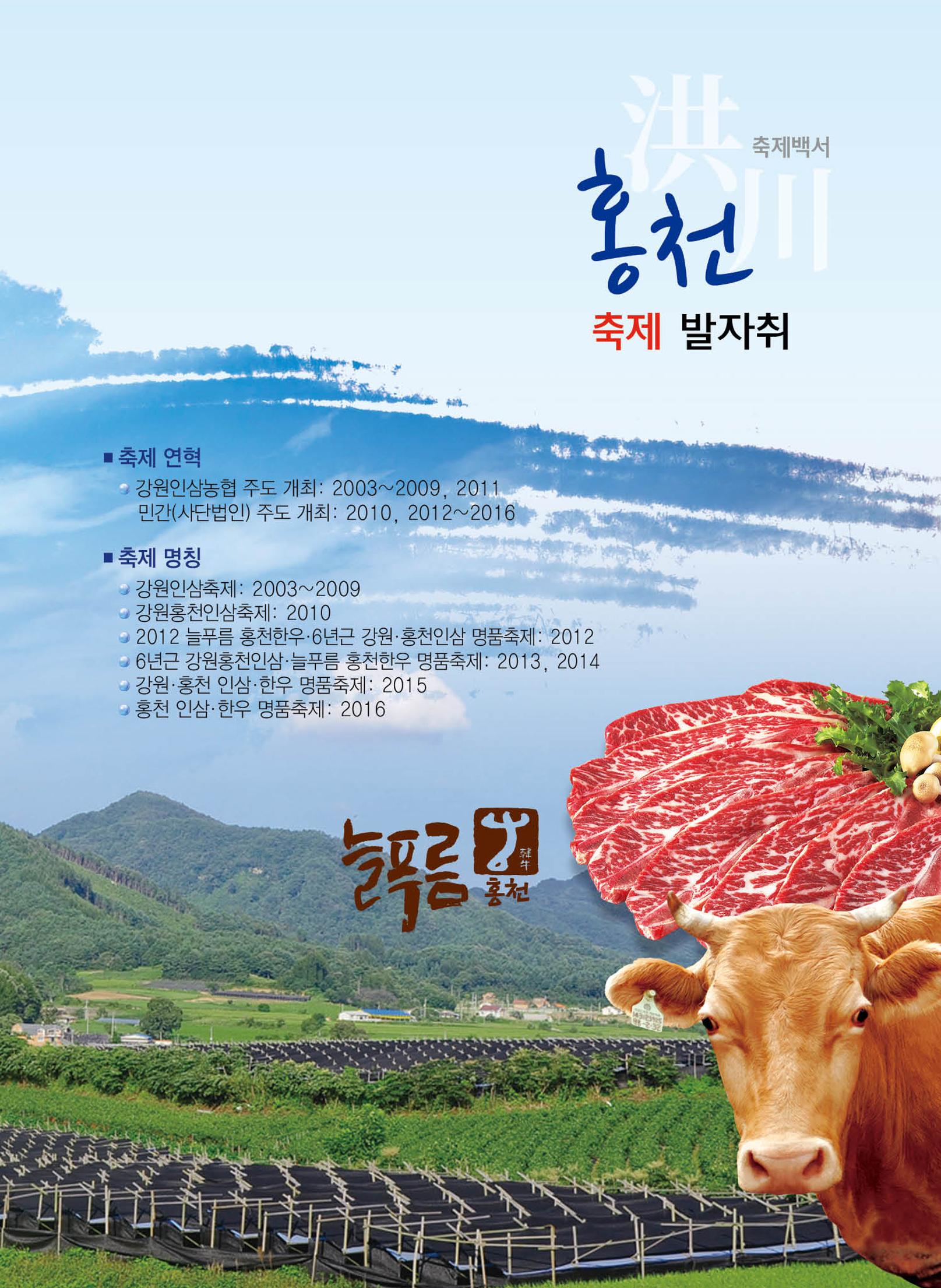 홍천 축제 발자취 137페이지