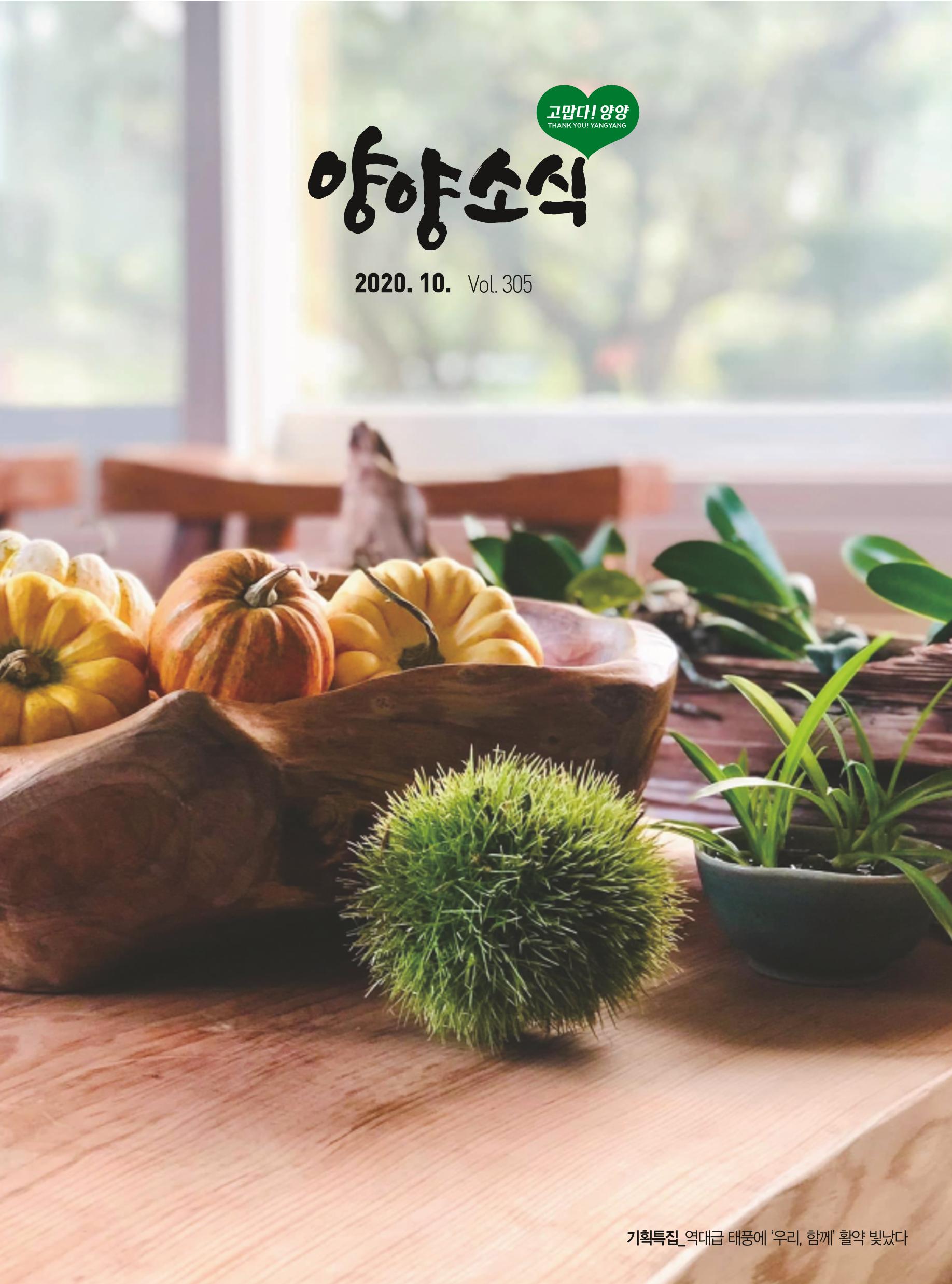 양양소식 10월호 1페이지