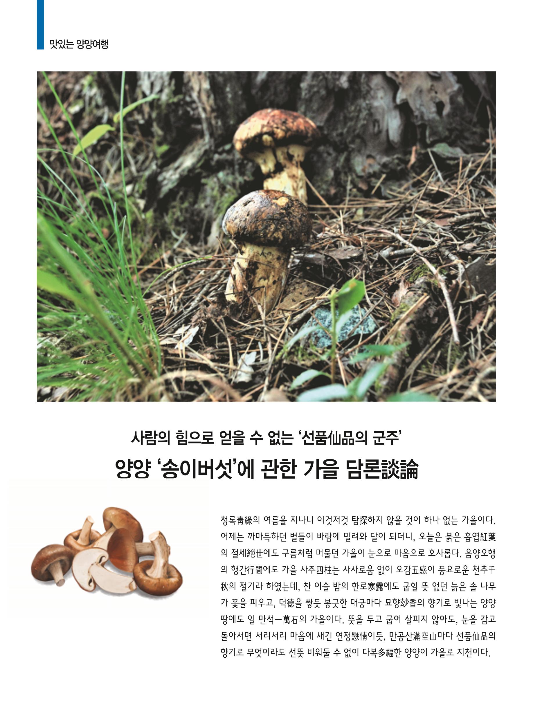 양양소식 10월호 14페이지