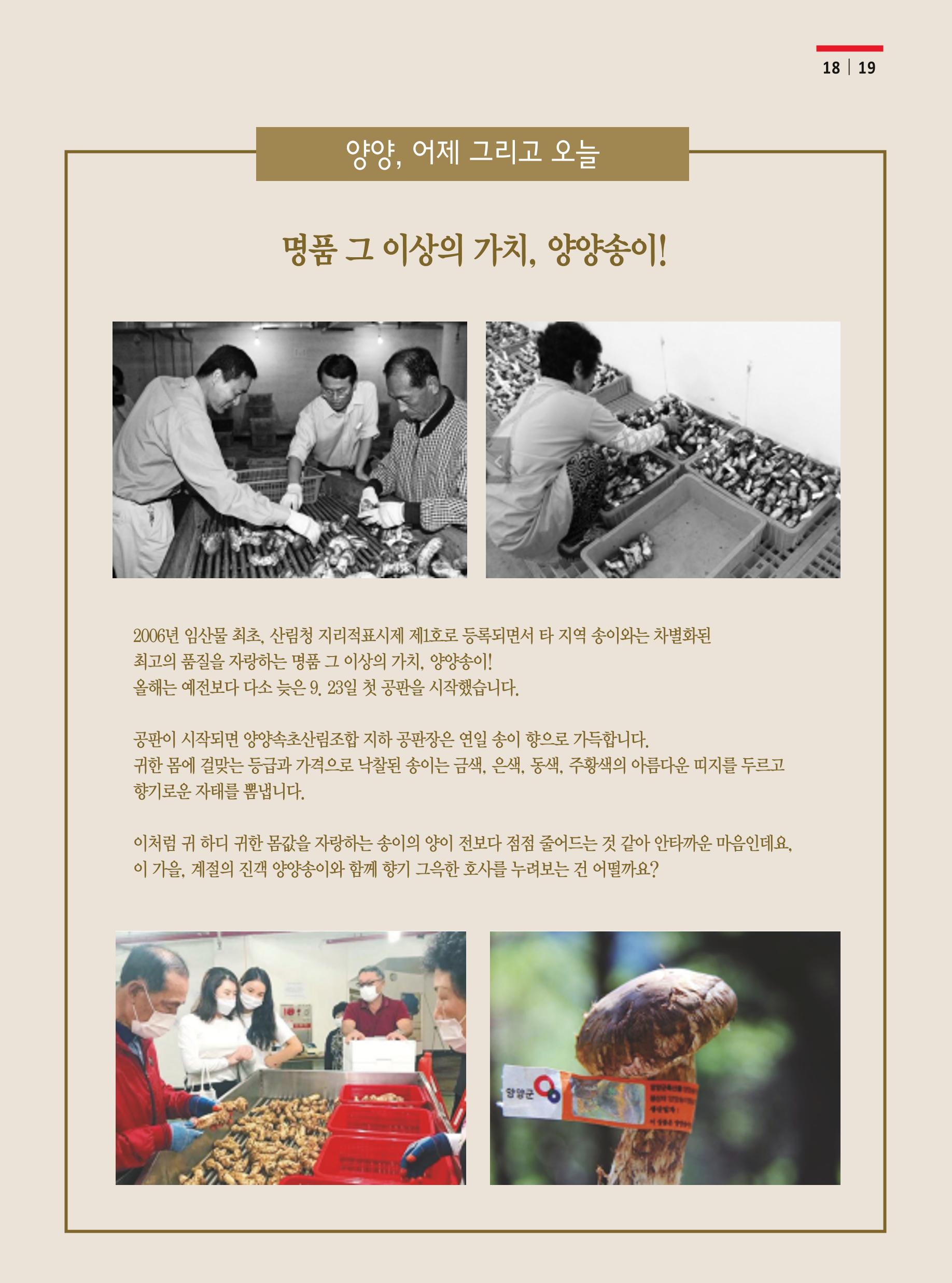 양양소식 10월호 19페이지
