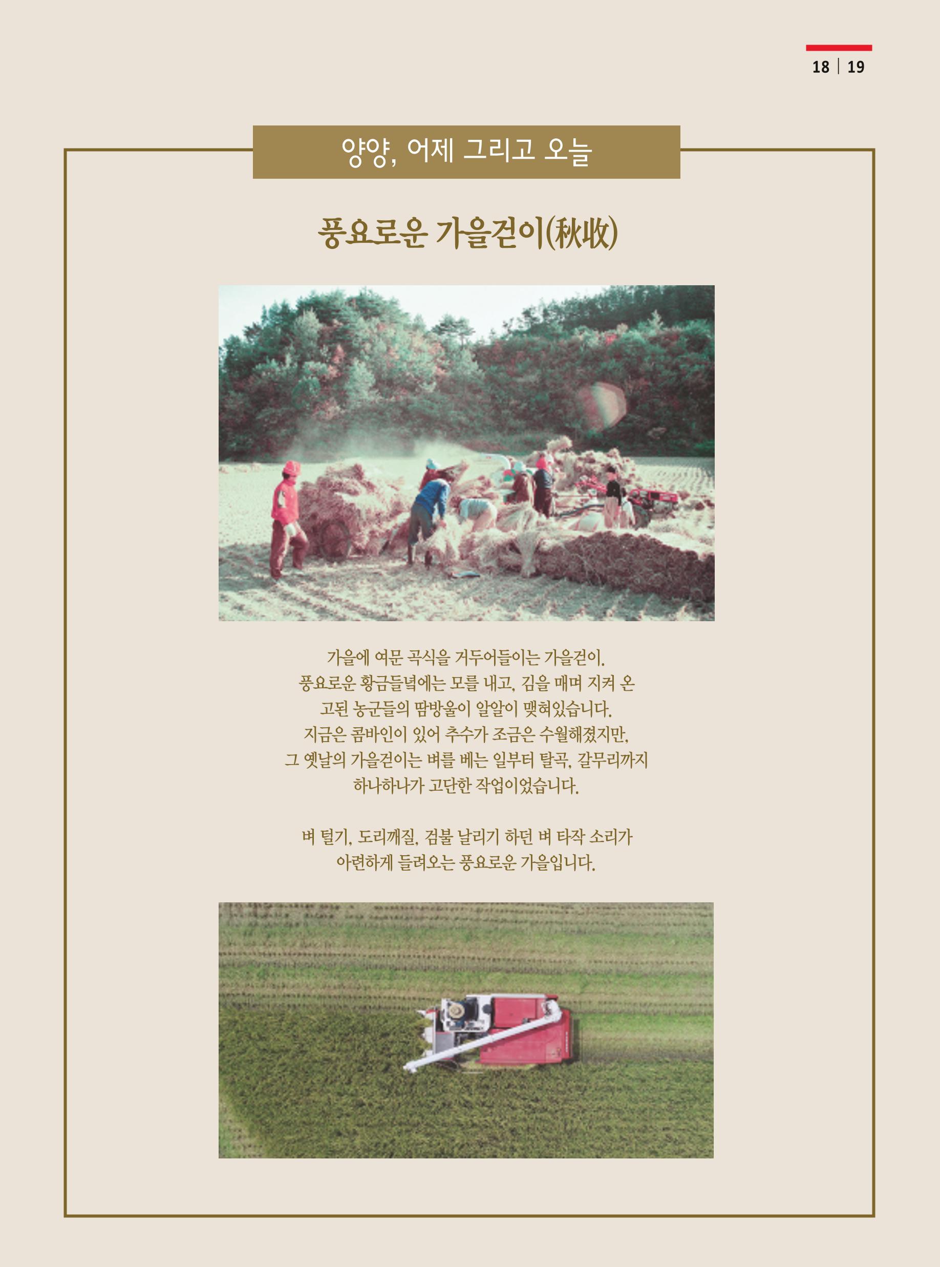 양양소식 11월호 19페이지