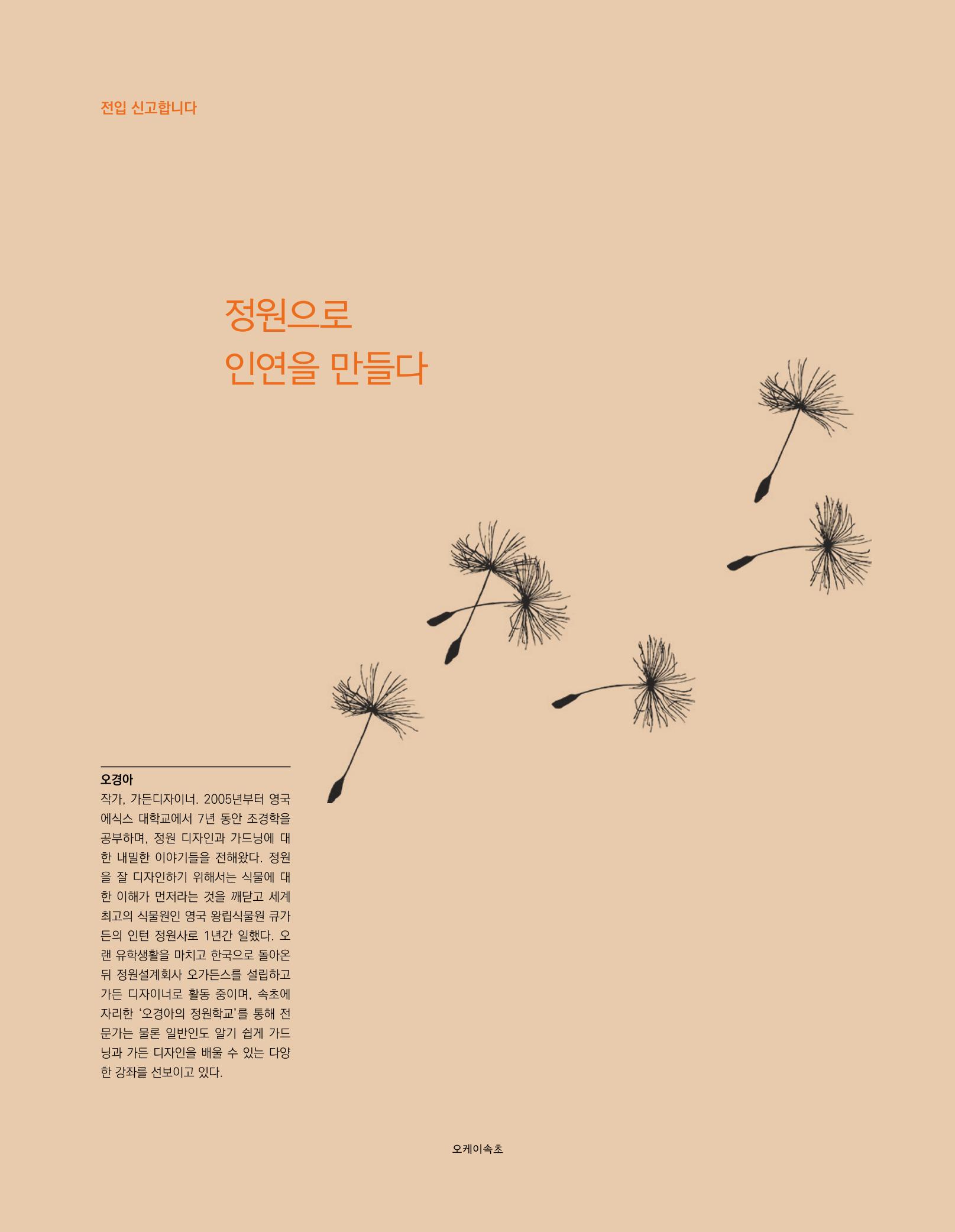 속초 문화특화지역조성사업 소식지 오케이속초 Vol. 2 20페이지