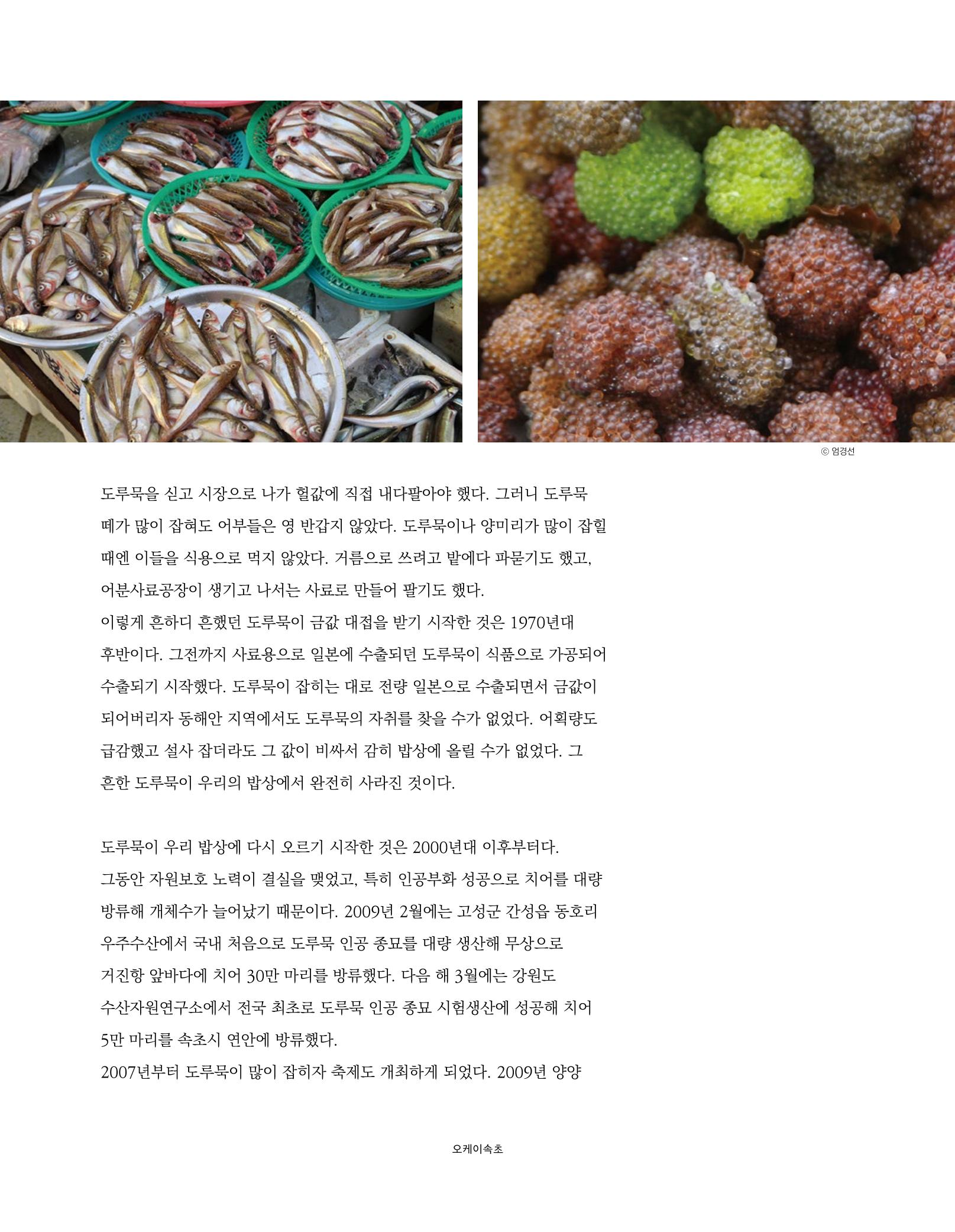 속초 문화특화지역조성사업 소식지 오케이속초 Vol. 2 24페이지