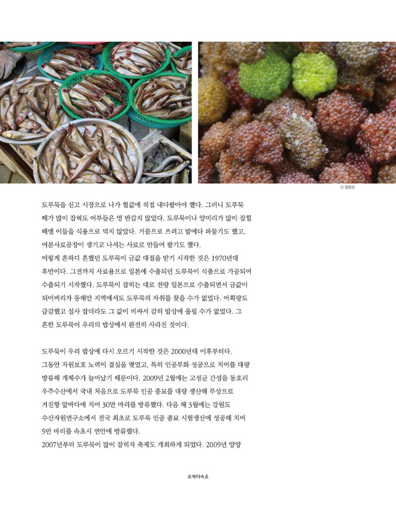 속초 문화특화지역조성사업 소식지 오케이속초 Vol. 2 24페이지