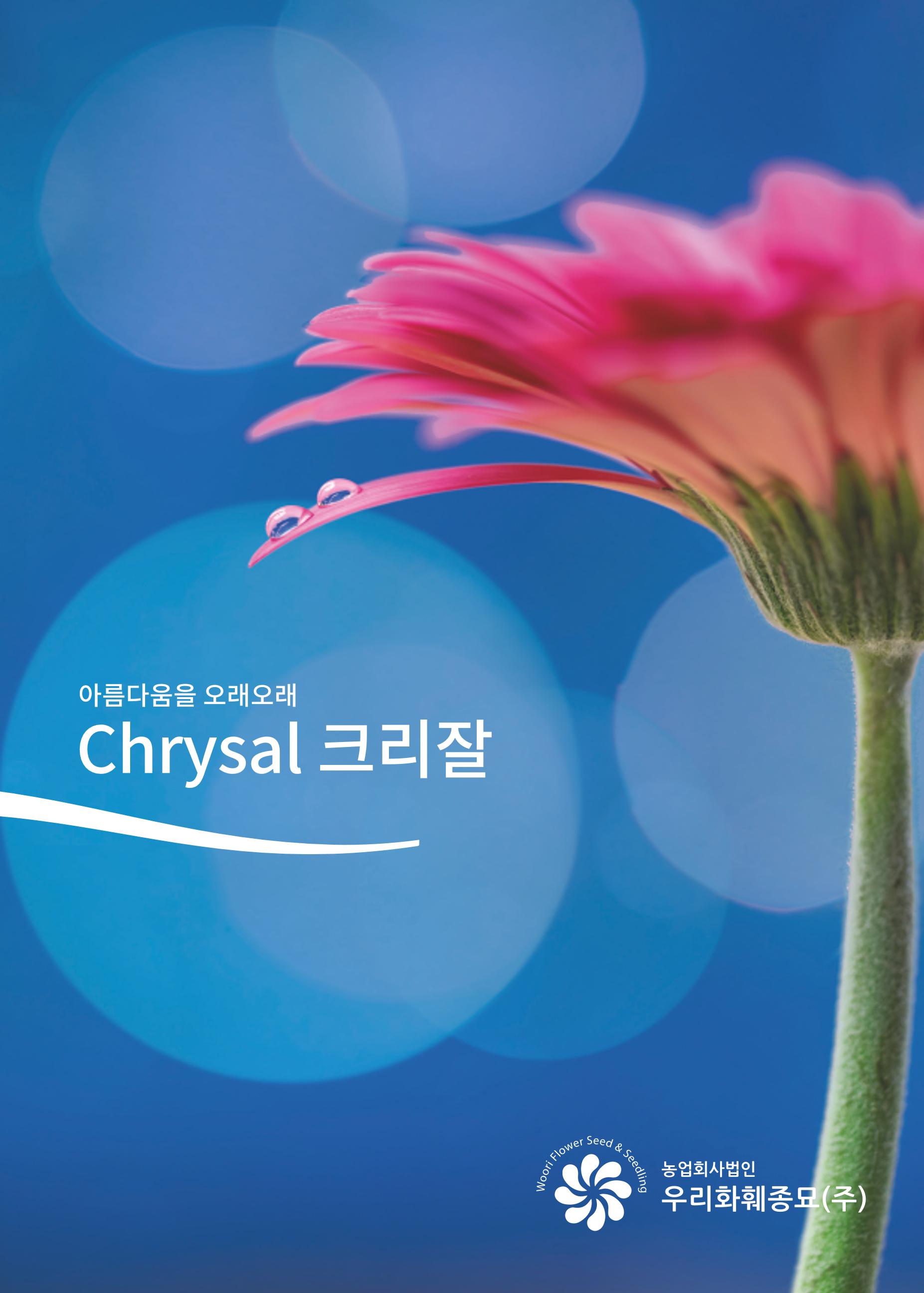 우리화훼종묘 크리잘 카탈로그