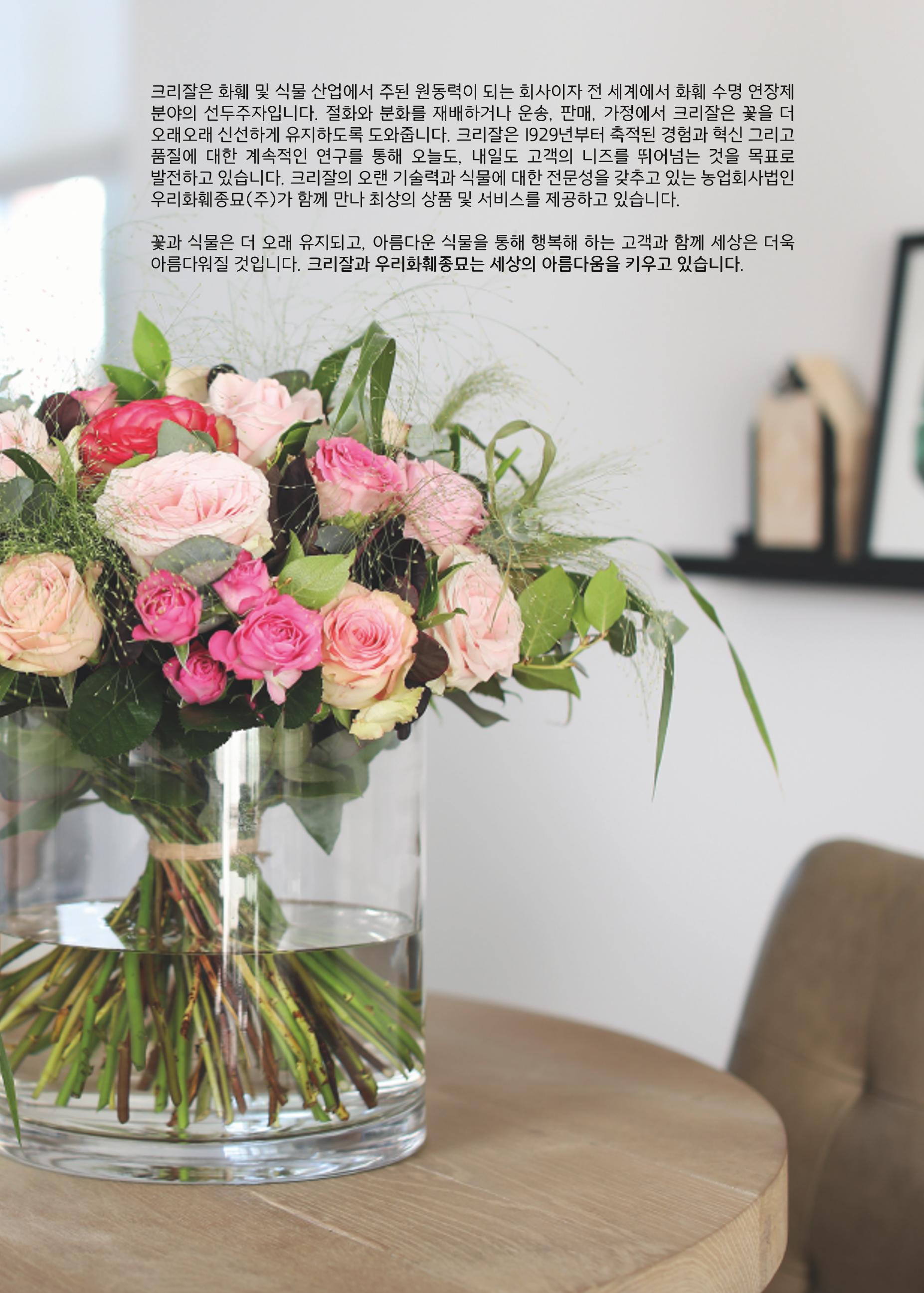 페이지3