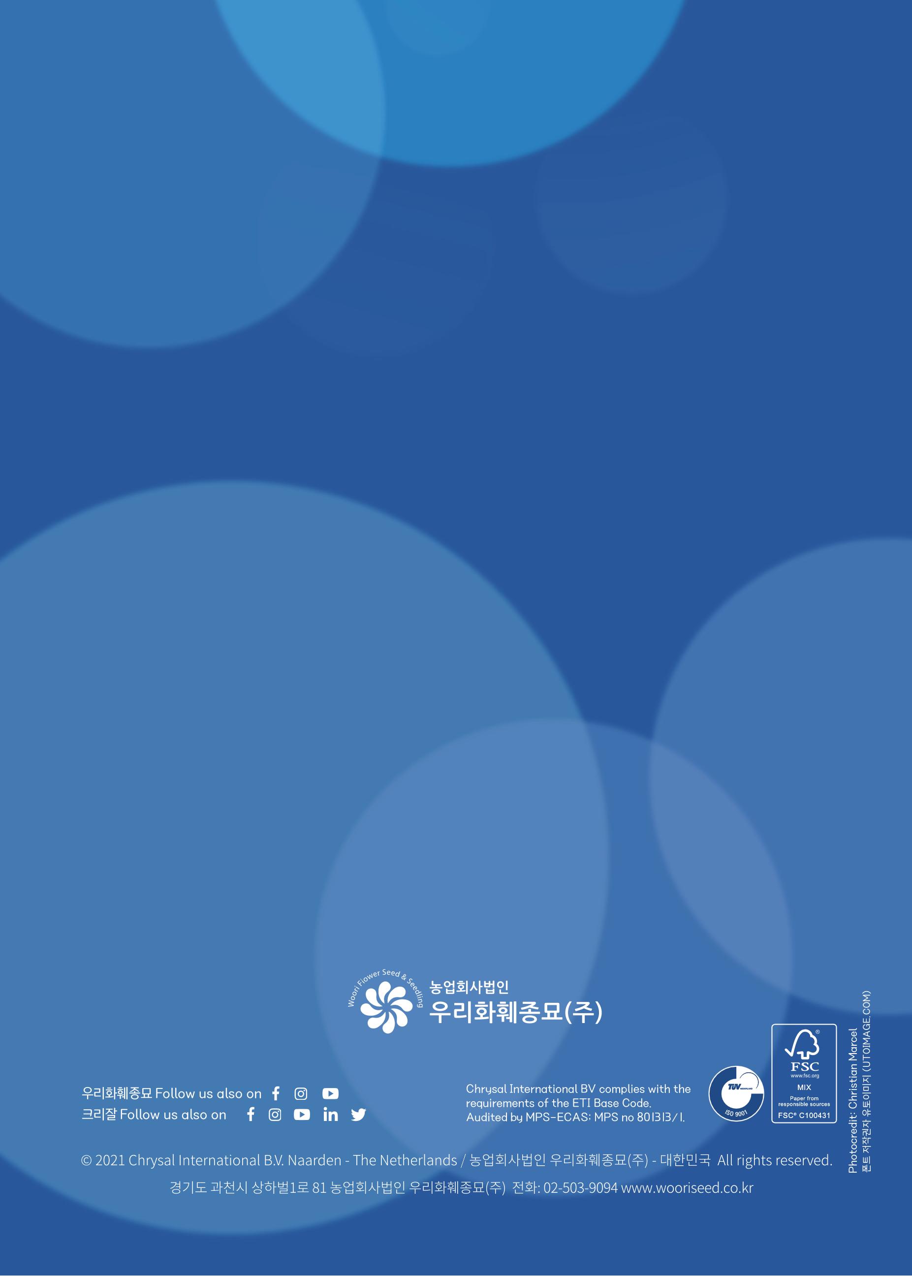 뒷표지