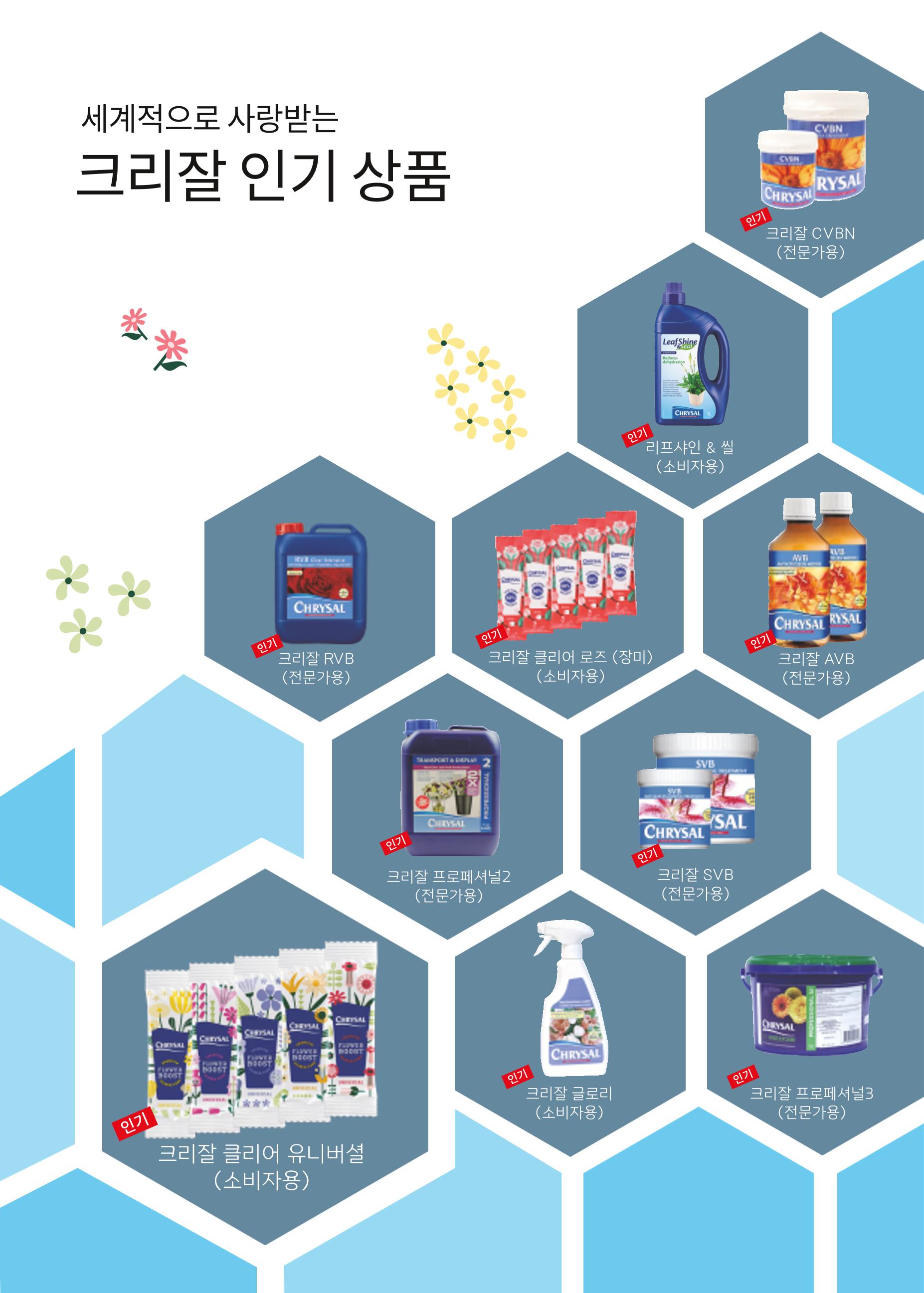 페이지5