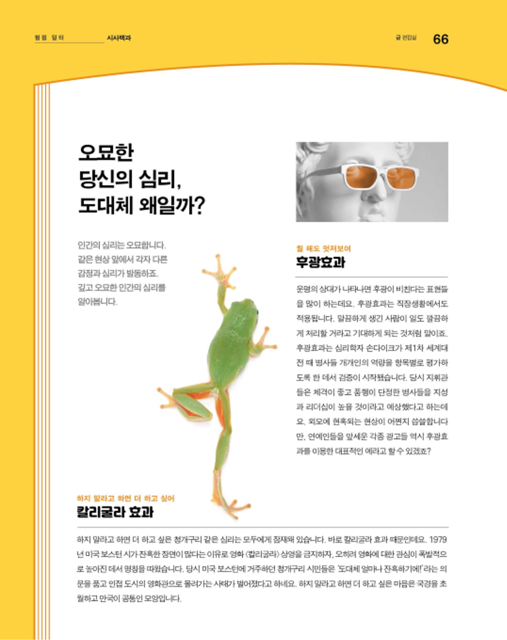 월간내일 웹진 2020년 6월호 66페이지