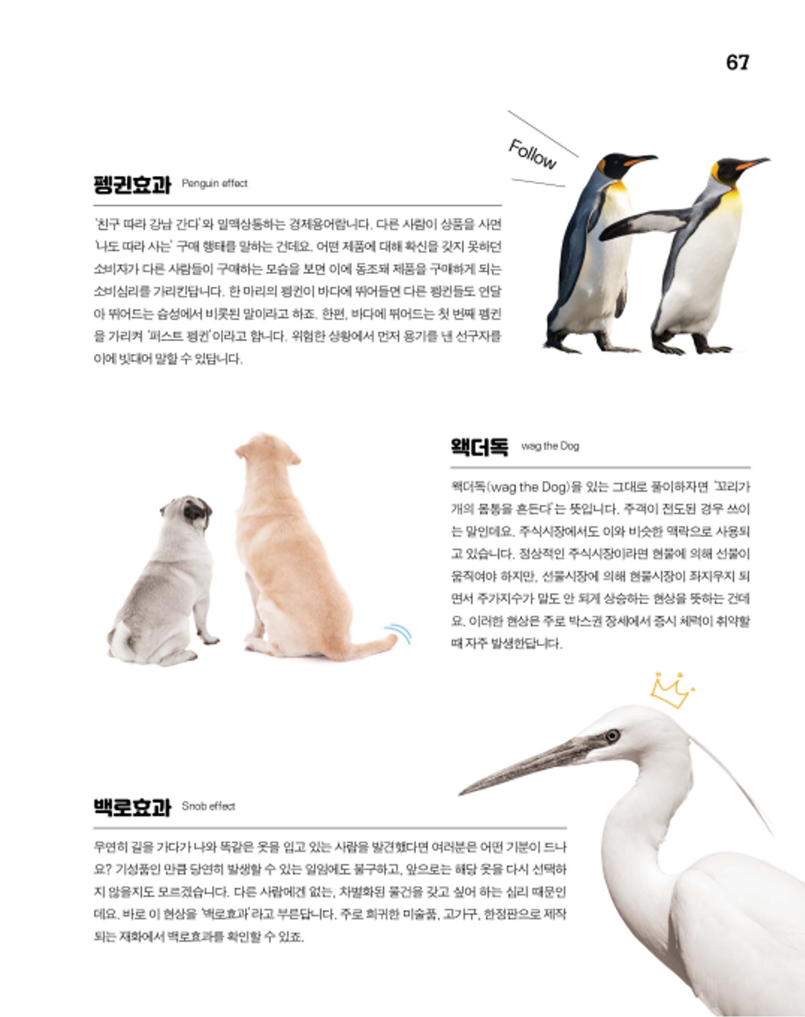월간내일 웹진 2020년 8월호 67페이지