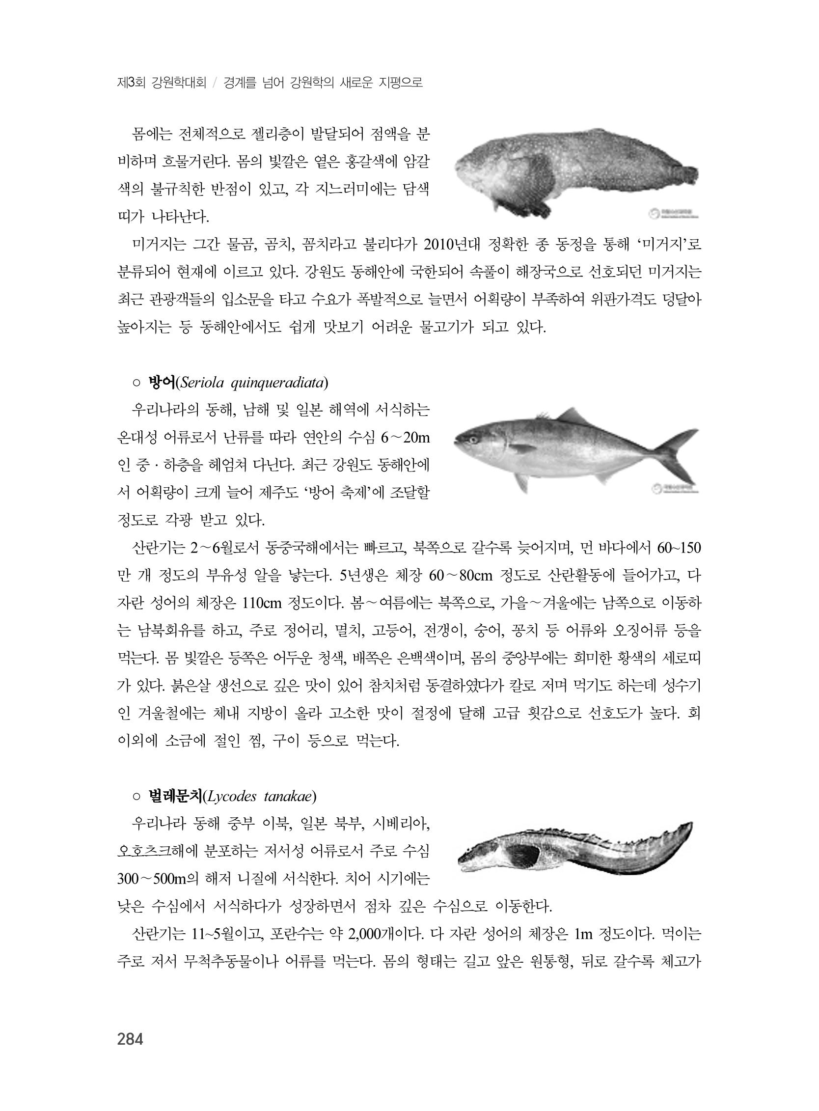제3회 강원학대회-본문-인쇄-분권2 284페이지
