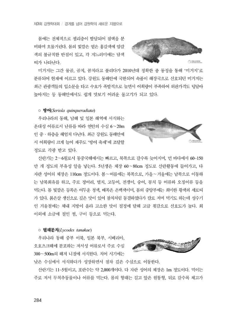 제3회 강원학대회-본문-인쇄-분권2 284페이지