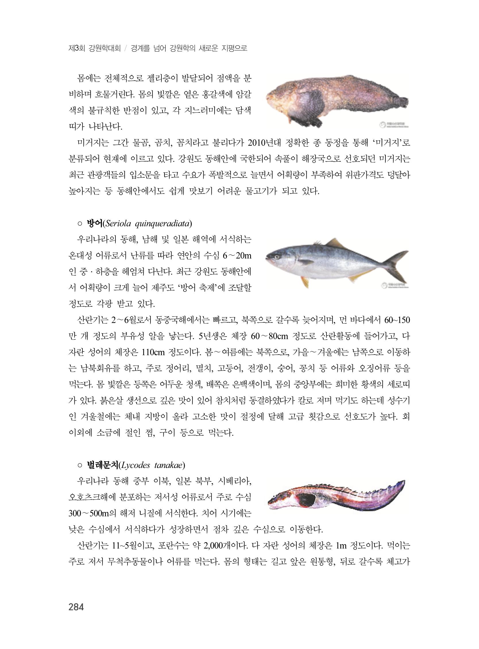 제3회 강원학대회-분과6-4-발표자 박중구 6페이지