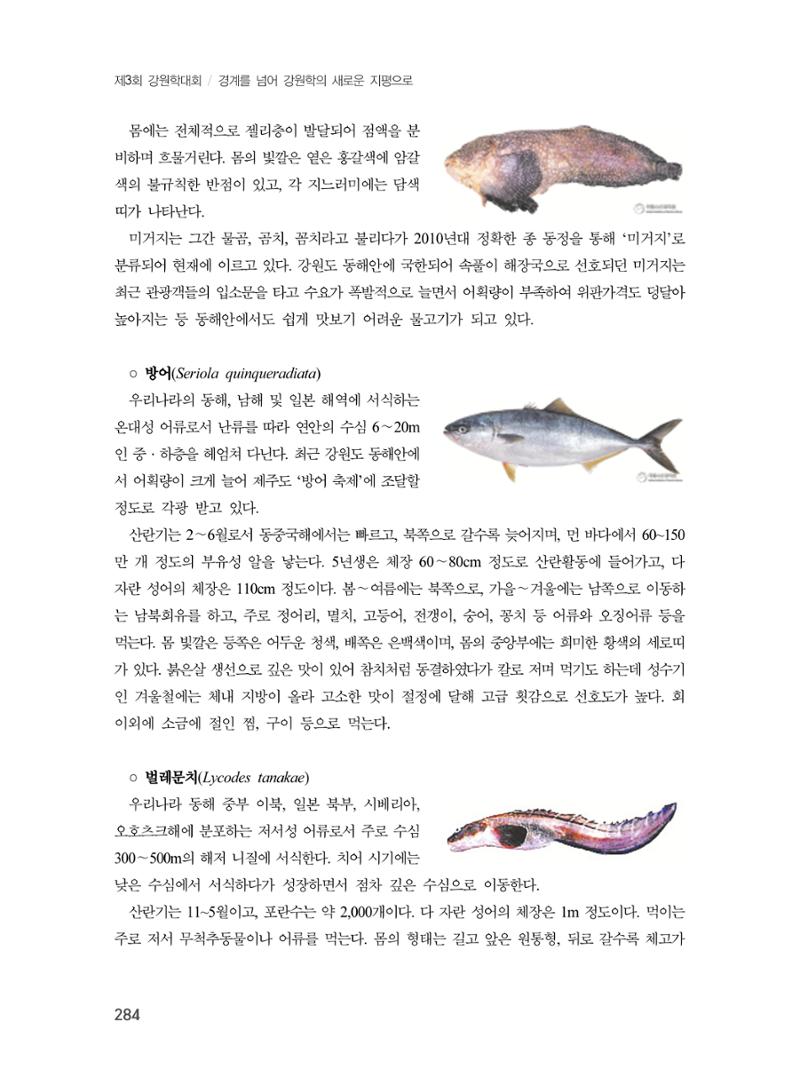 제3회 강원학대회-분과6-4-발표자 박중구 6페이지