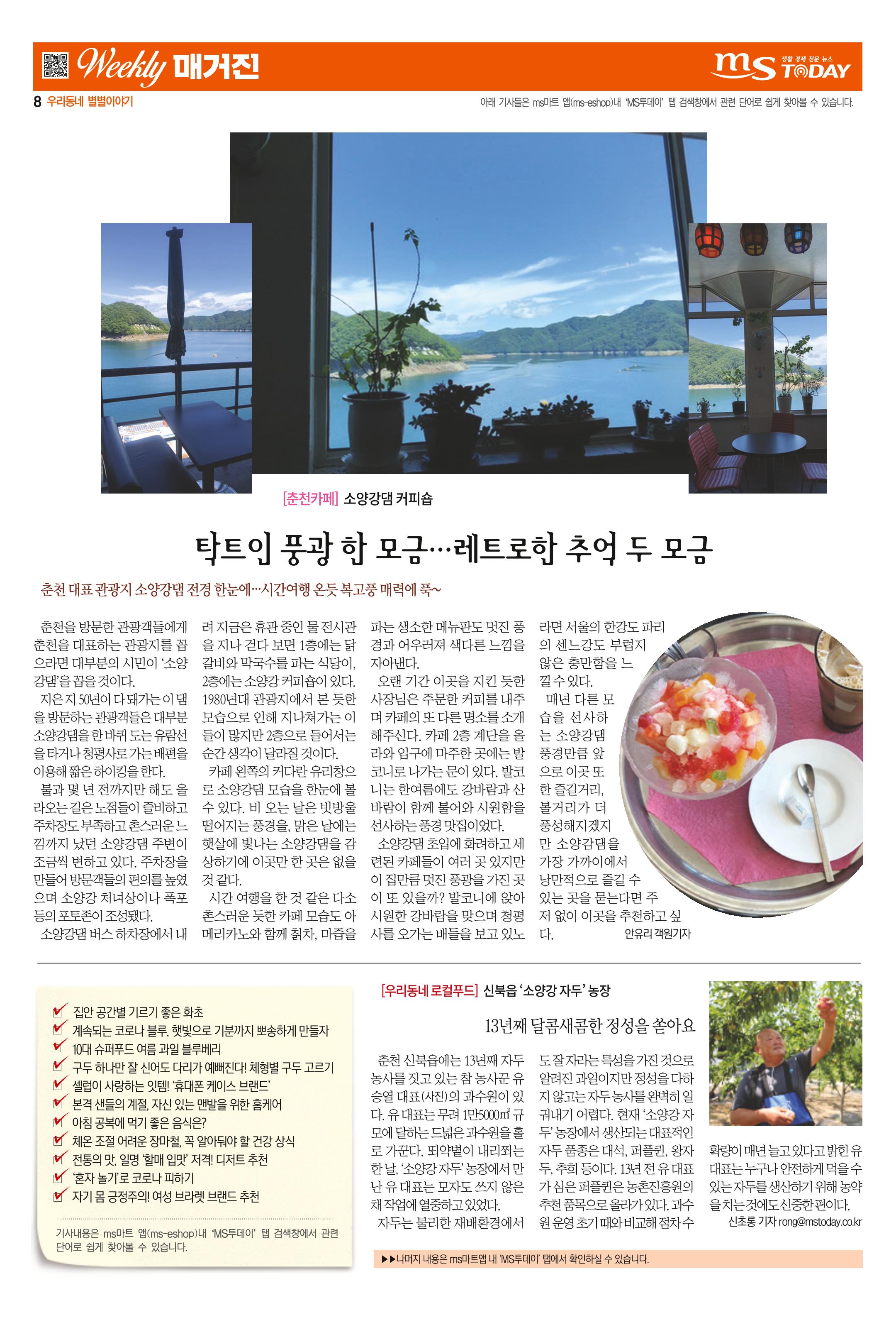 MS투데이 위클리매거진 10호 8페이지
