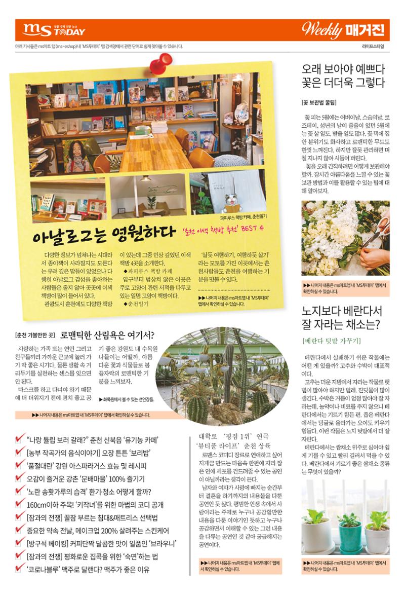 MS투데이 위클리매거진 1호 3페이지
