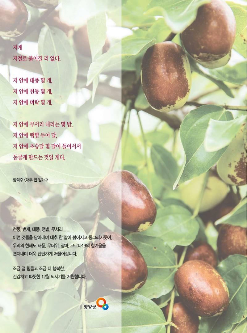 양양소식 12월호 2페이지