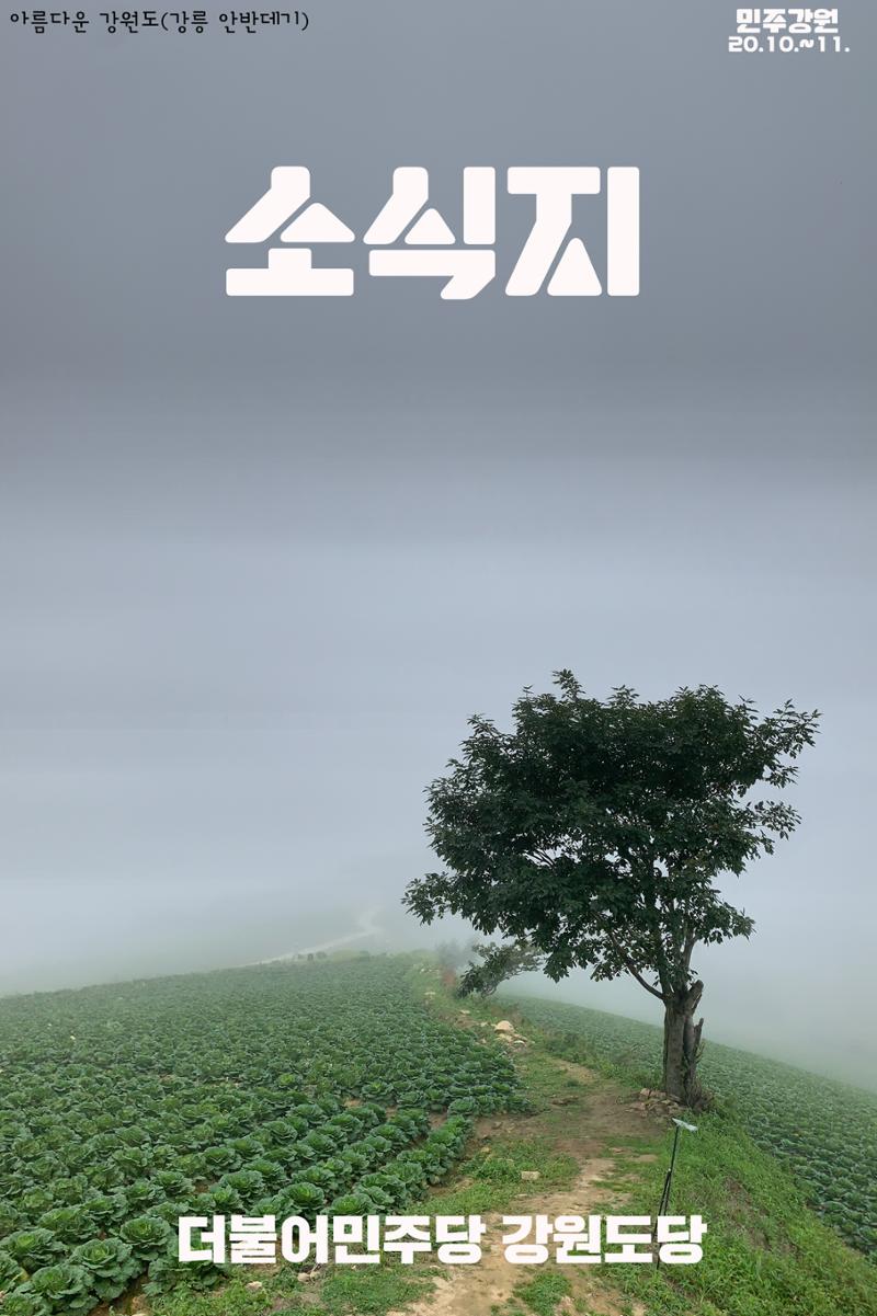 더불어민주당 강원도당 소식지 1페이지