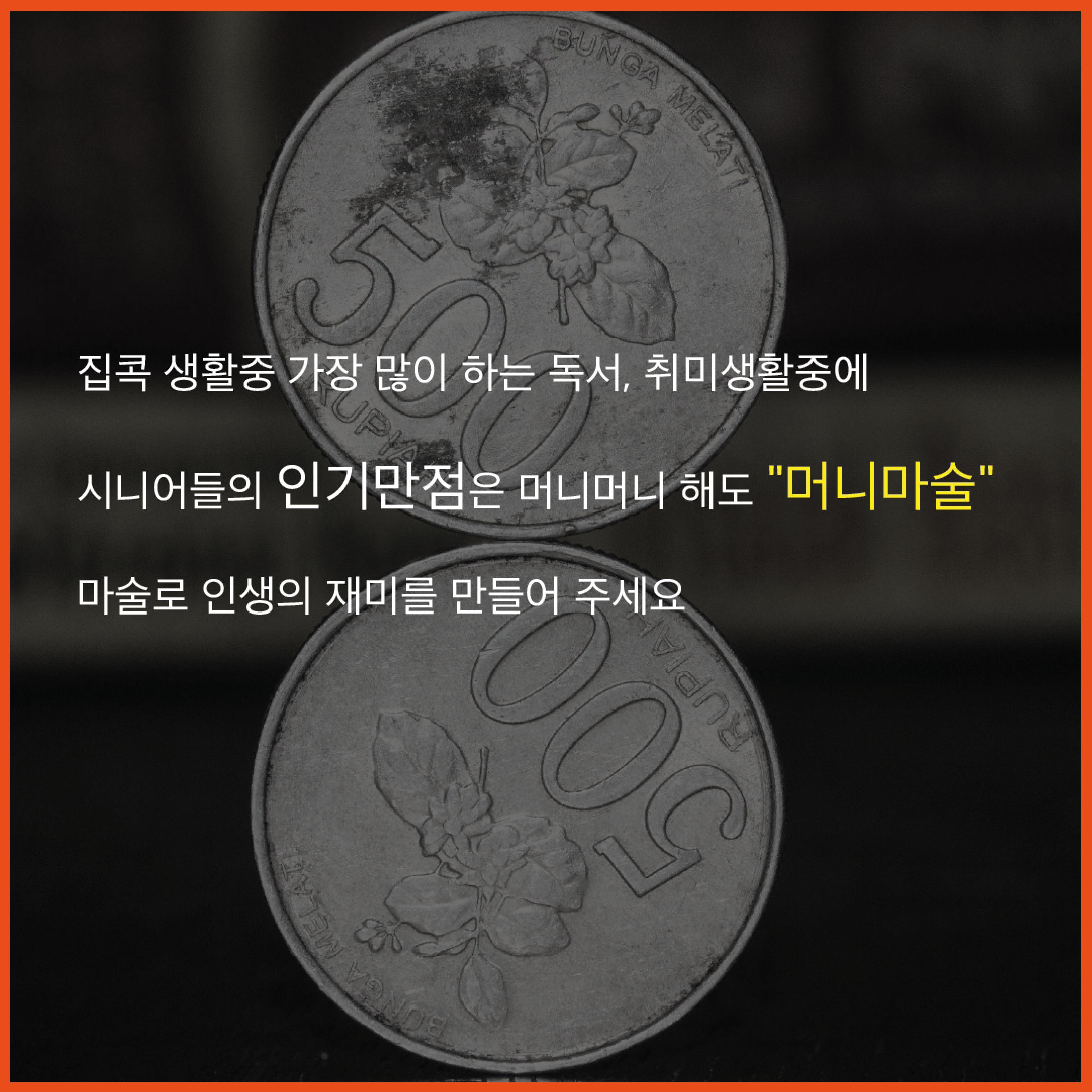 제2회 시니어 매직페스티벌 3페이지