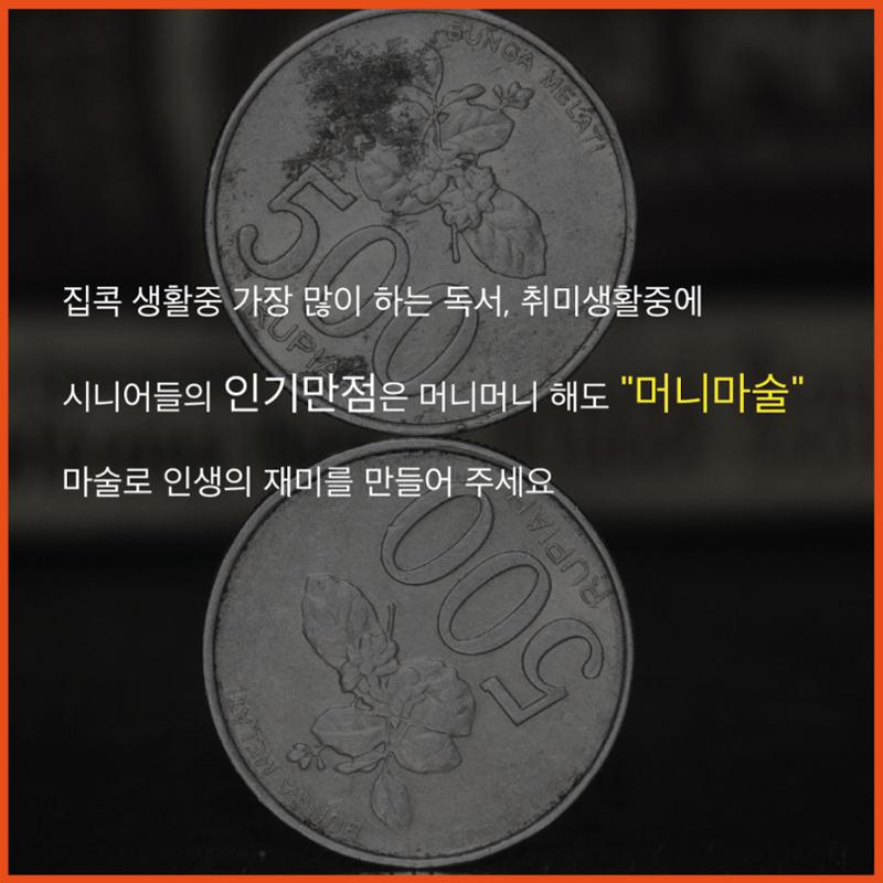 제2회 시니어 매직페스티벌 3페이지