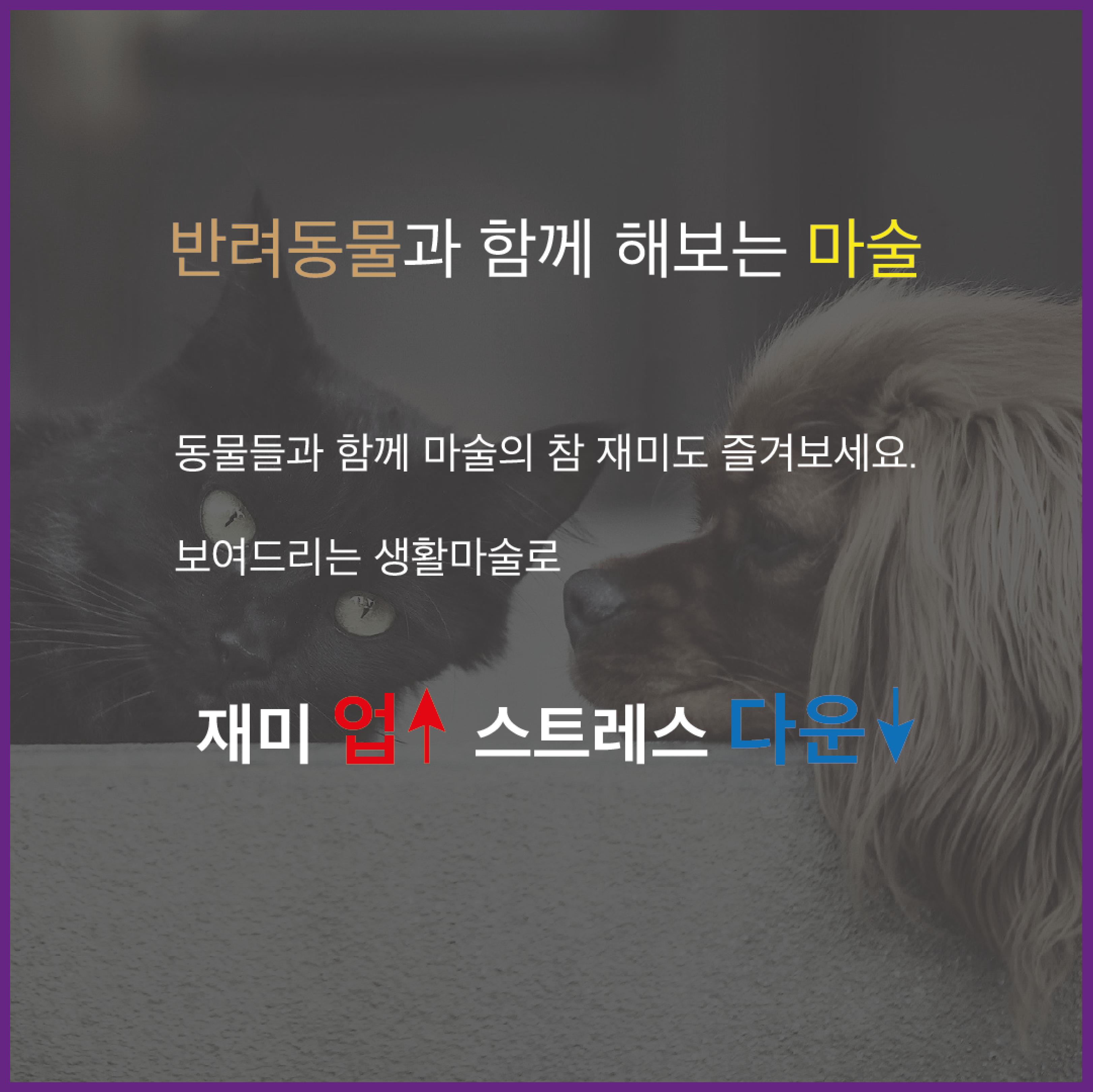 제2회 시니어 매직페스티벌 6페이지