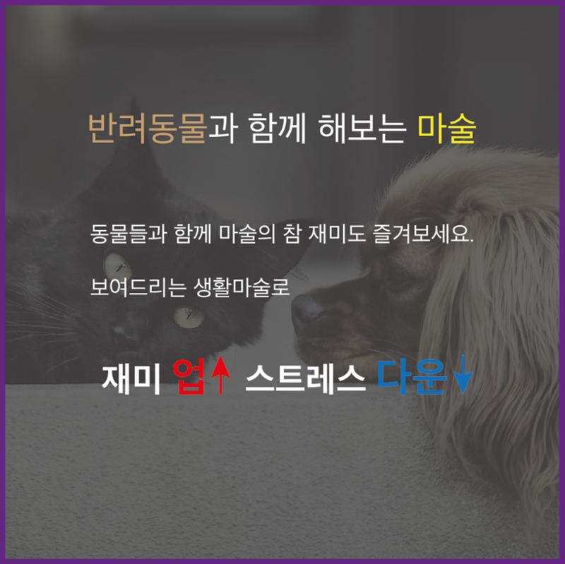 제2회 시니어 매직페스티벌 6페이지