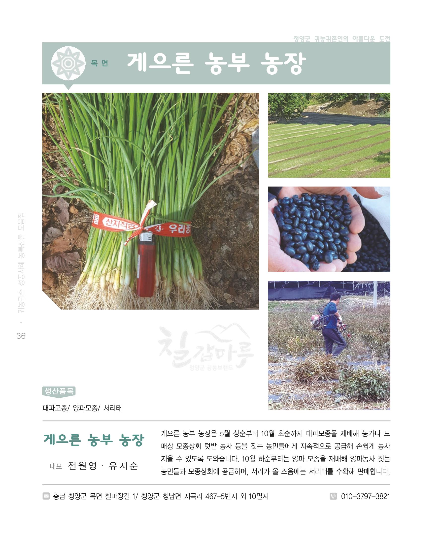 행복한 청양 건강한 밥상 36페이지