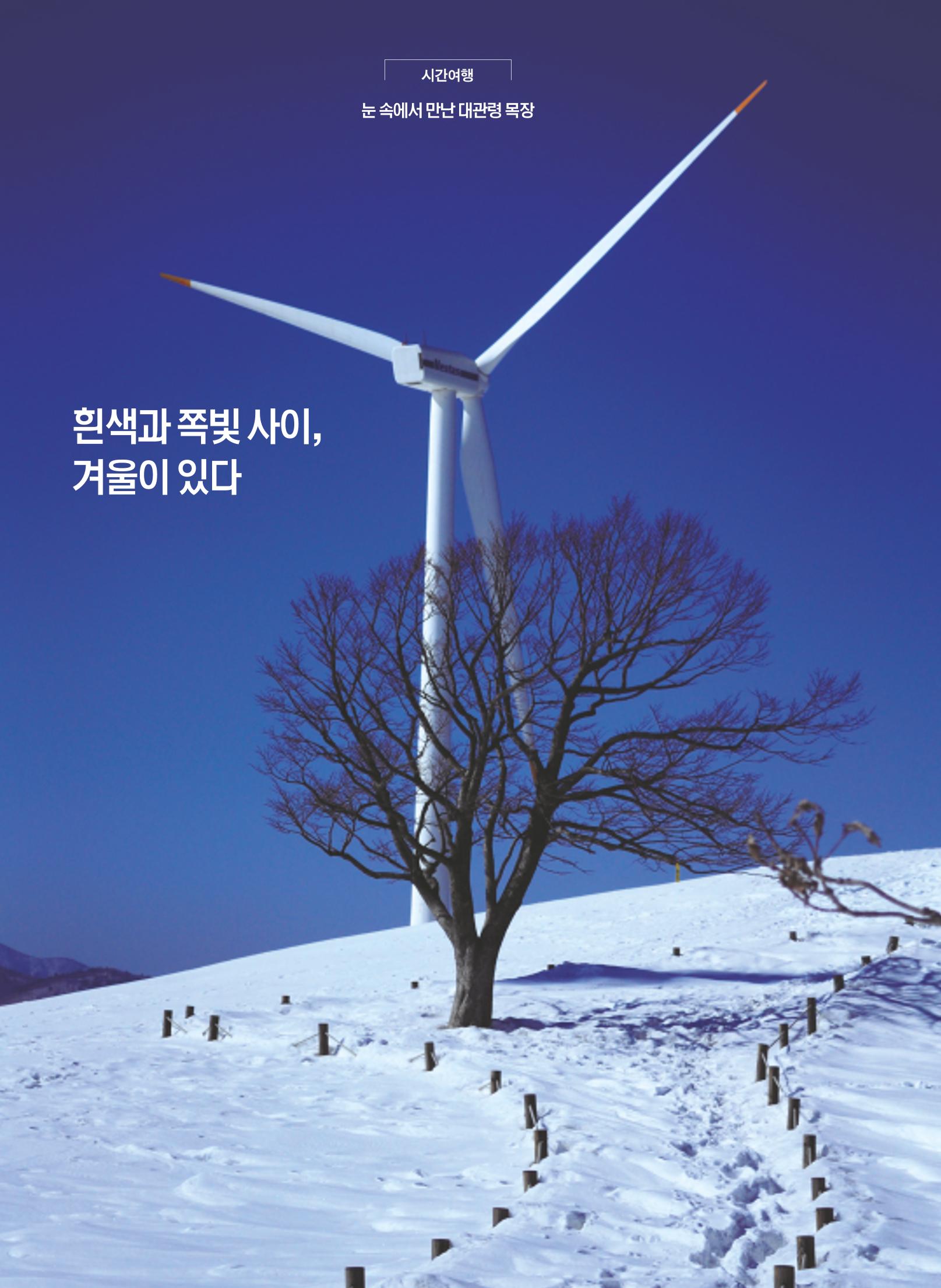 한국심장재단  16페이지