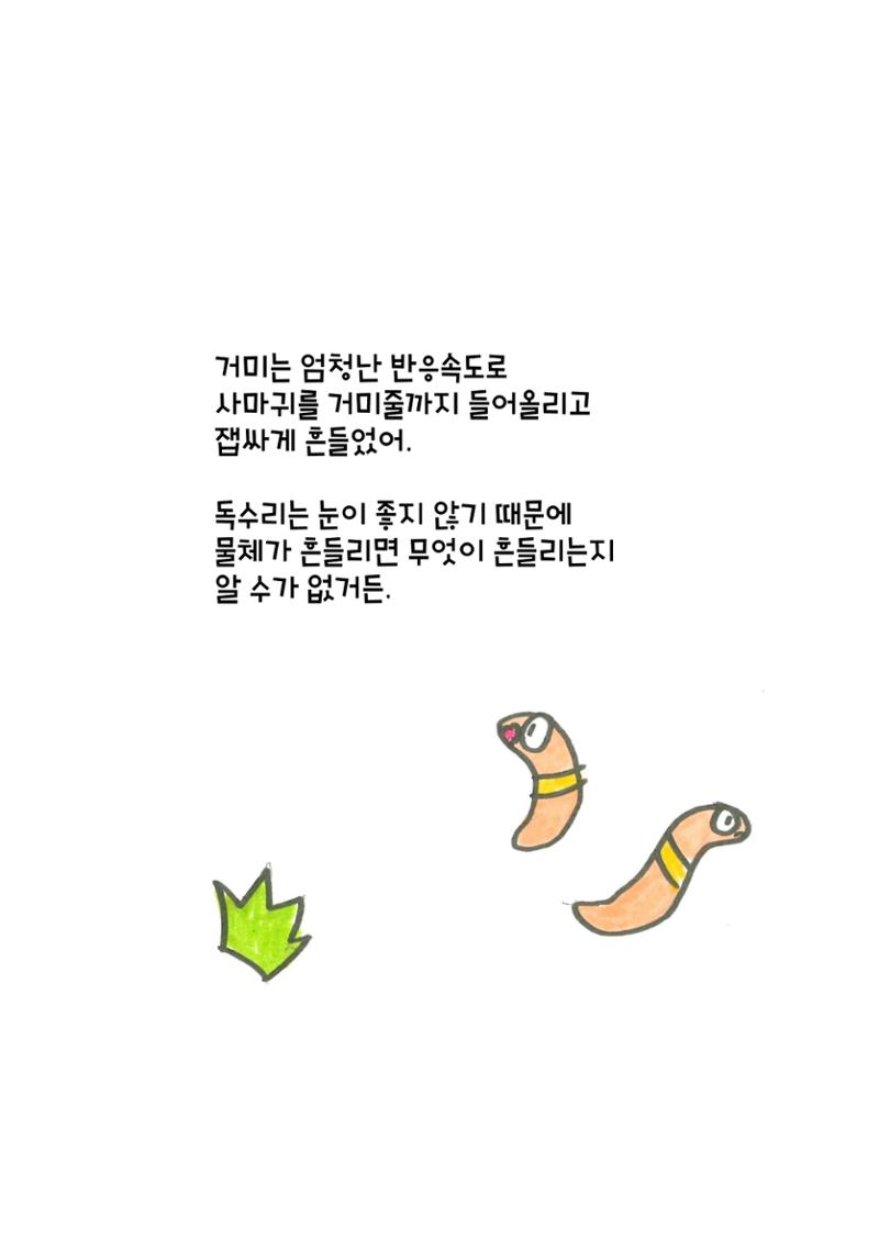 거미 친구의 모험 14페이지