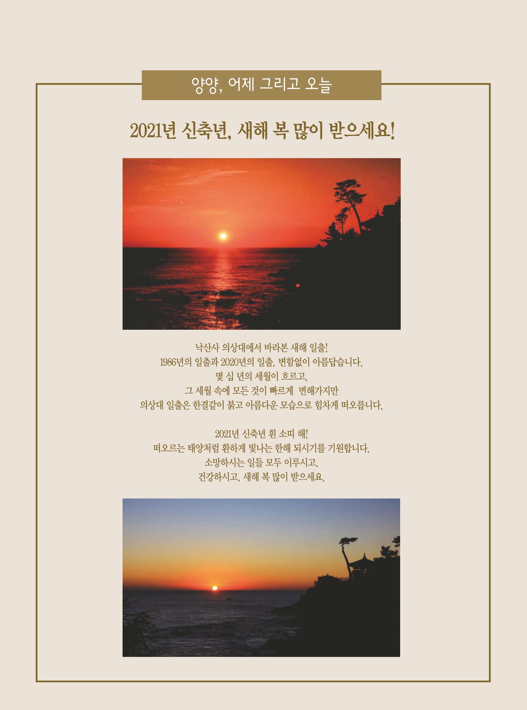 양양소식 2021. 1월호 13페이지