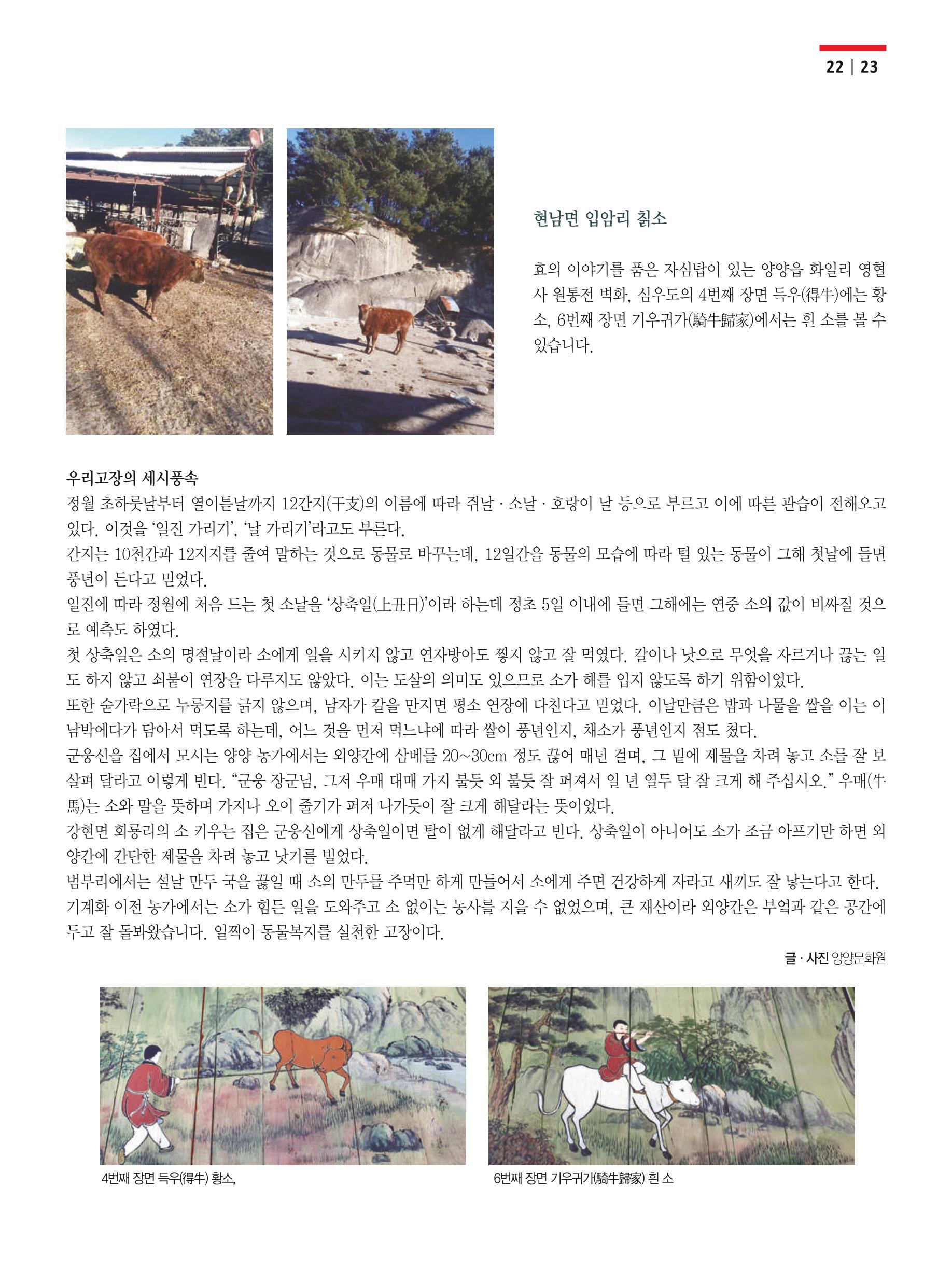 양양소식 2021. 1월호 23페이지