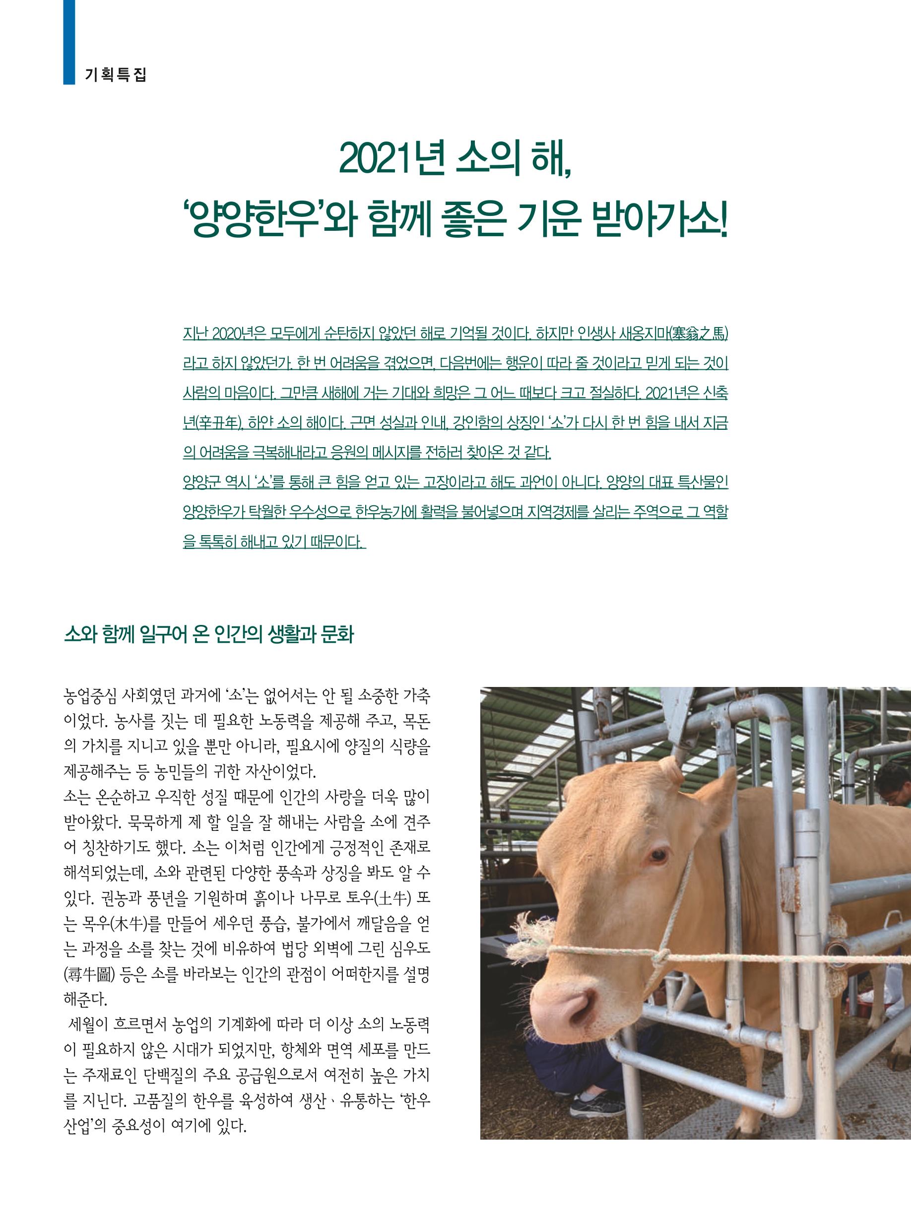 양양소식 2021. 1월호 4페이지