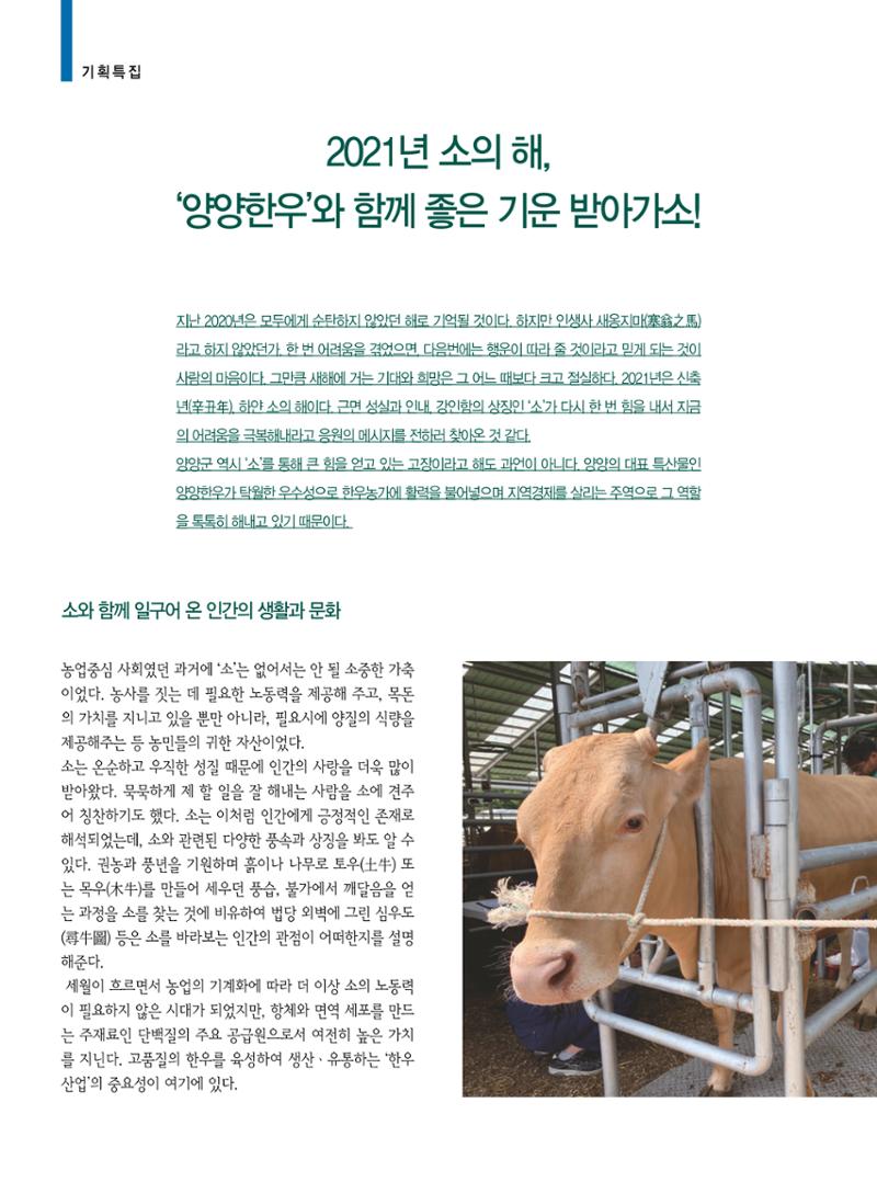 양양소식 2021. 1월호 4페이지