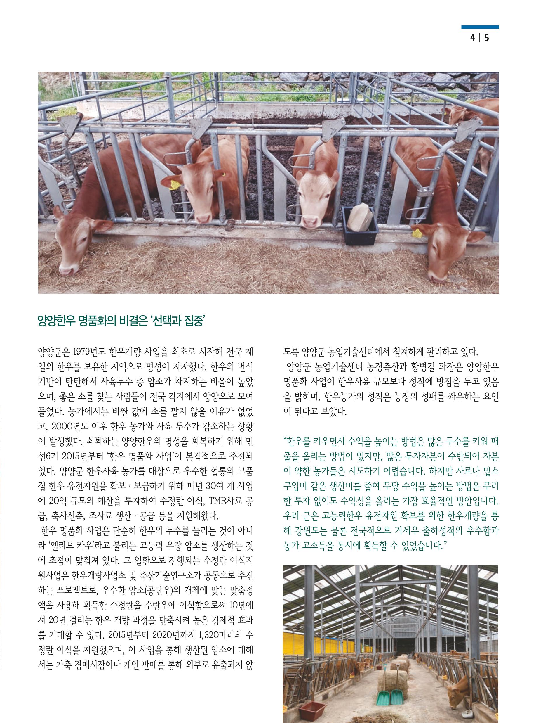 양양소식 2021. 1월호 5페이지