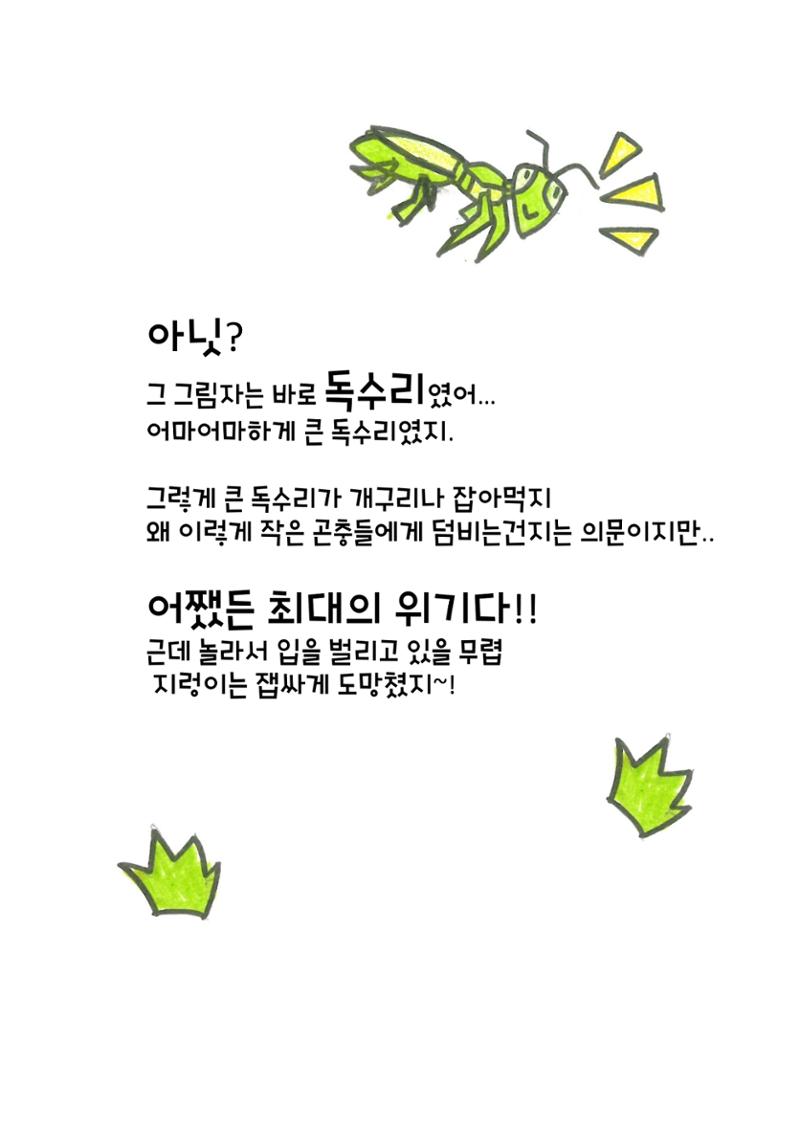 거미 친구의 모험 13페이지