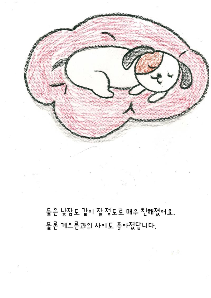 나비의 주인을 찾아주세요 31페이지