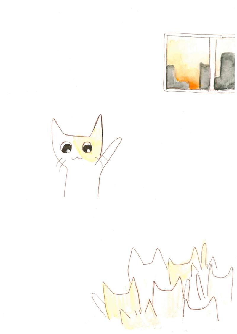 고양이들의 밤 31페이지