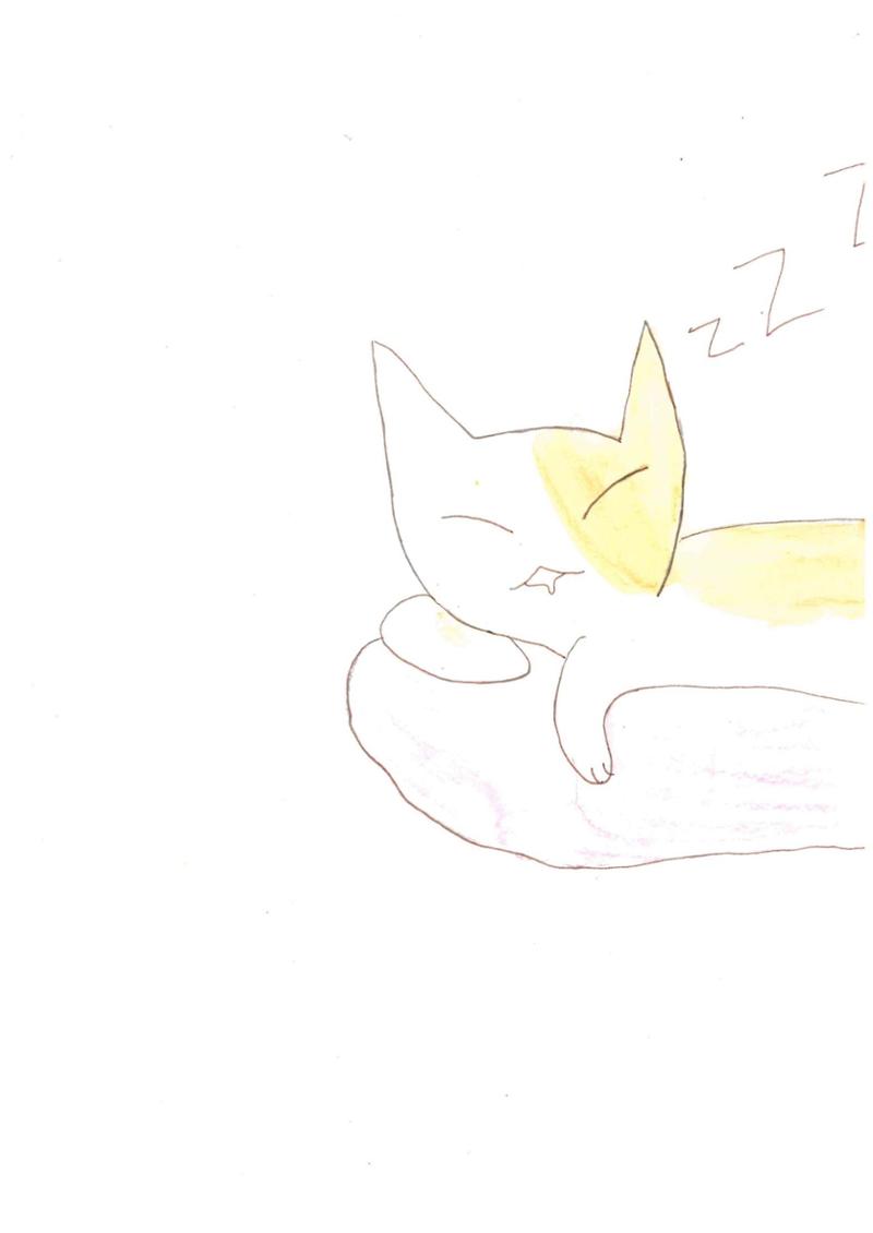 고양이들의 밤 32페이지