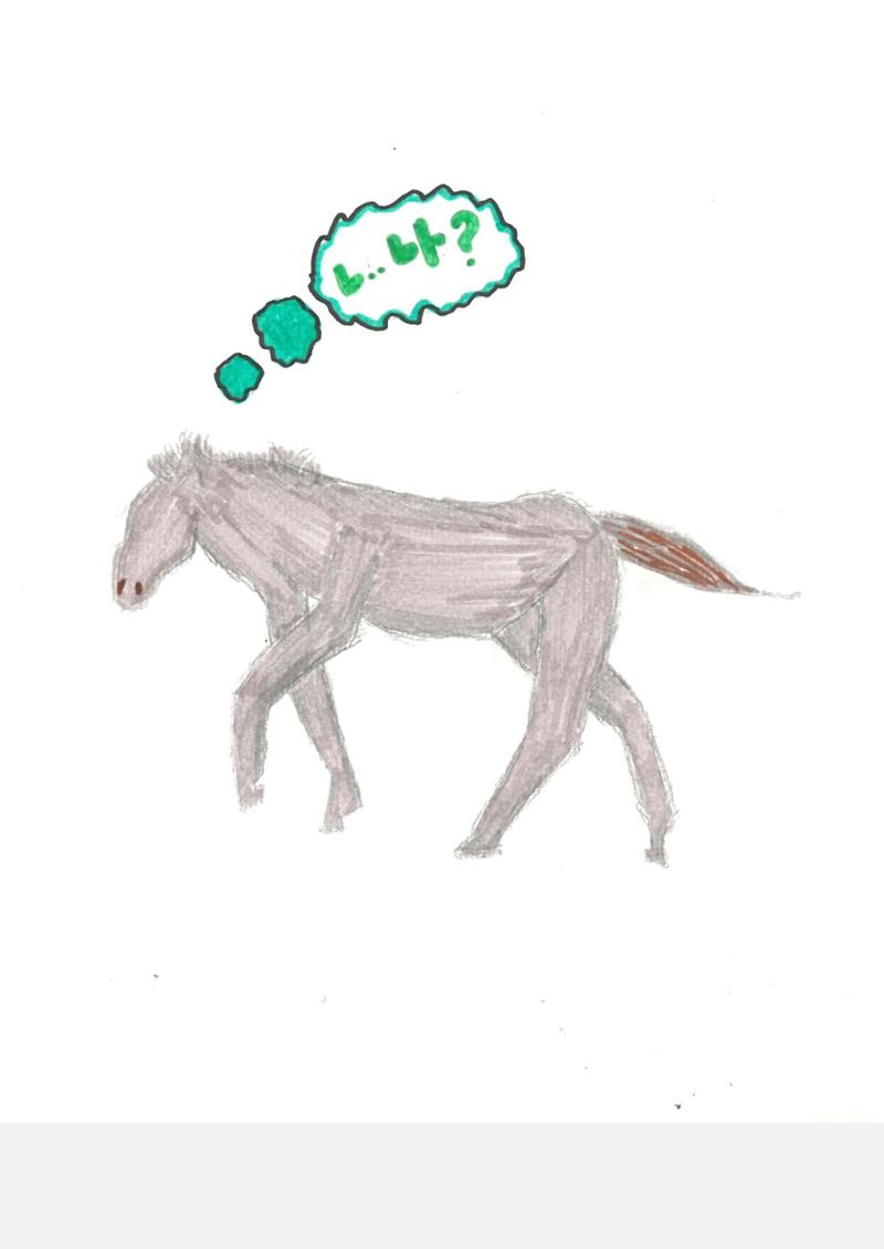 햄버거 20페이지