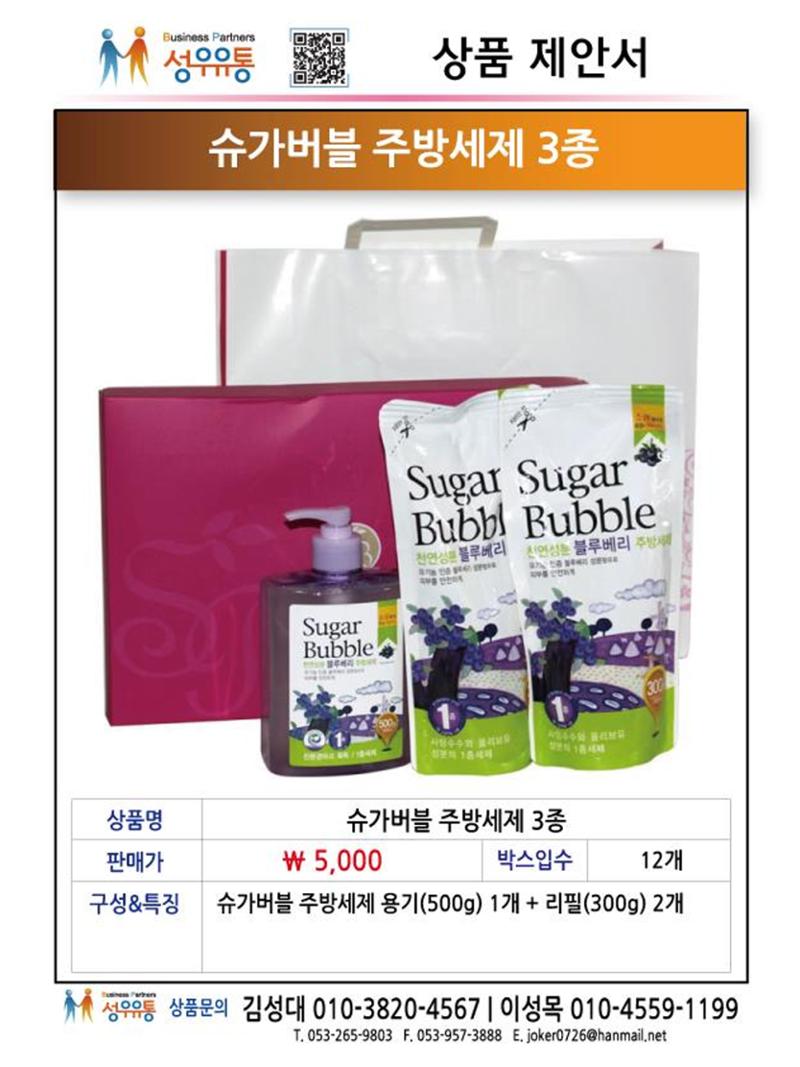 2021년 2월 제안서 13페이지