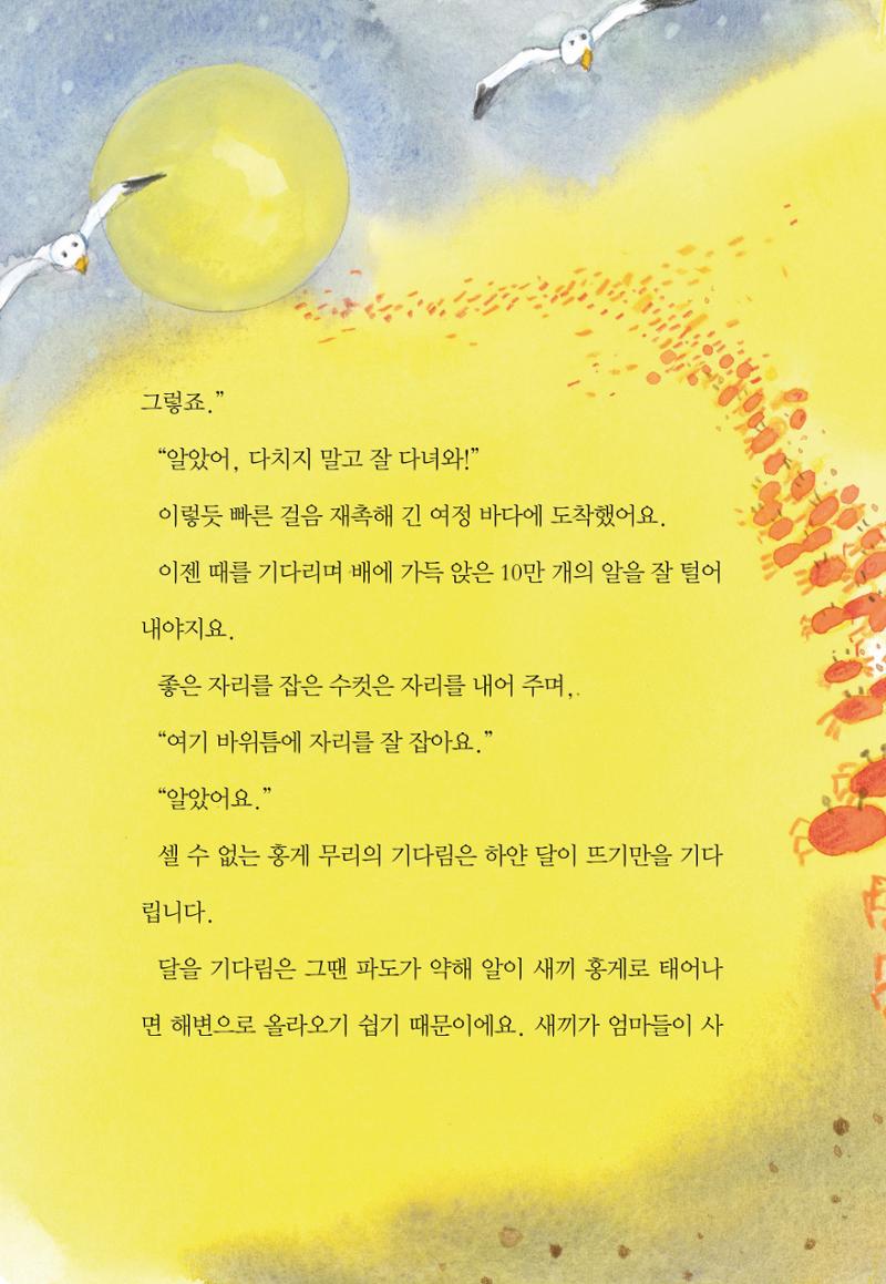 청솔모와 비밀의 정원 162페이지